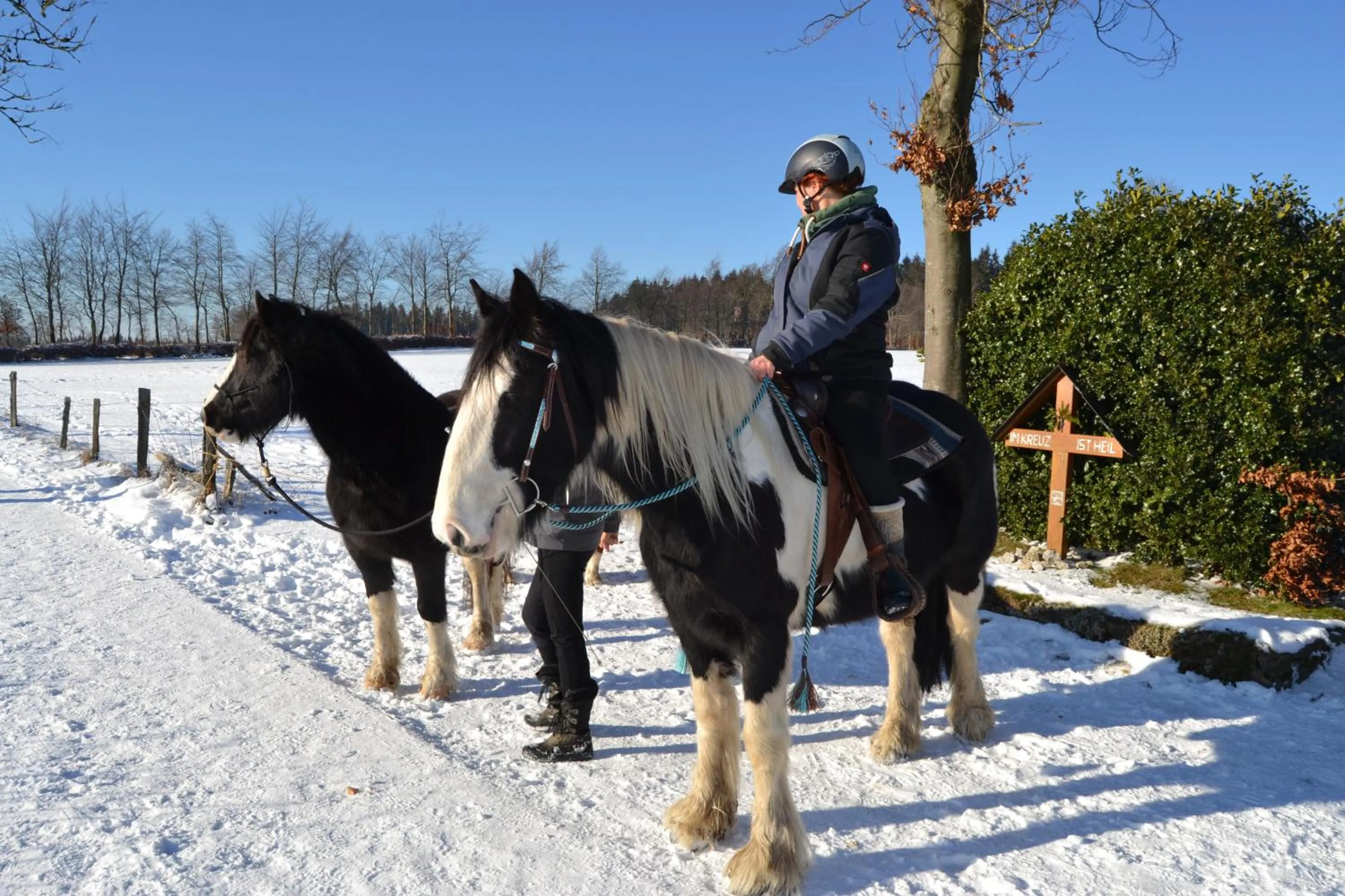 Pets in Ferien bei Freunden im Holzhaus