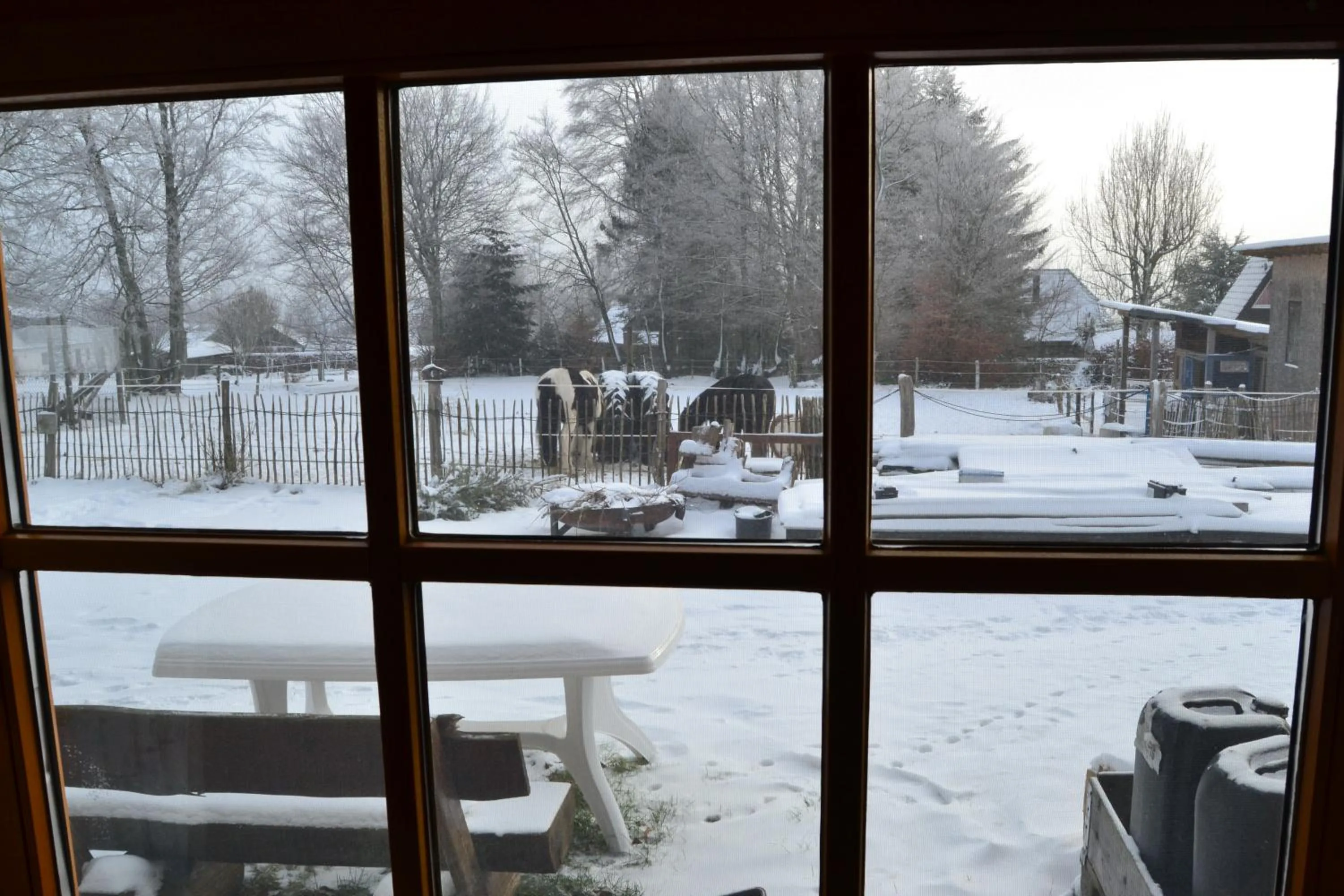 Garden view in Ferien bei Freunden im Holzhaus