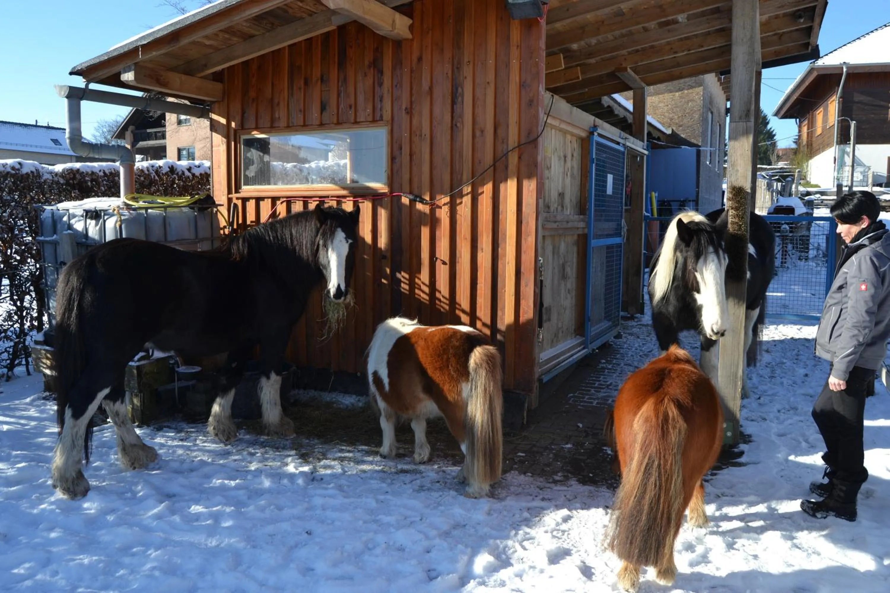 Pets in Ferien bei Freunden im Holzhaus