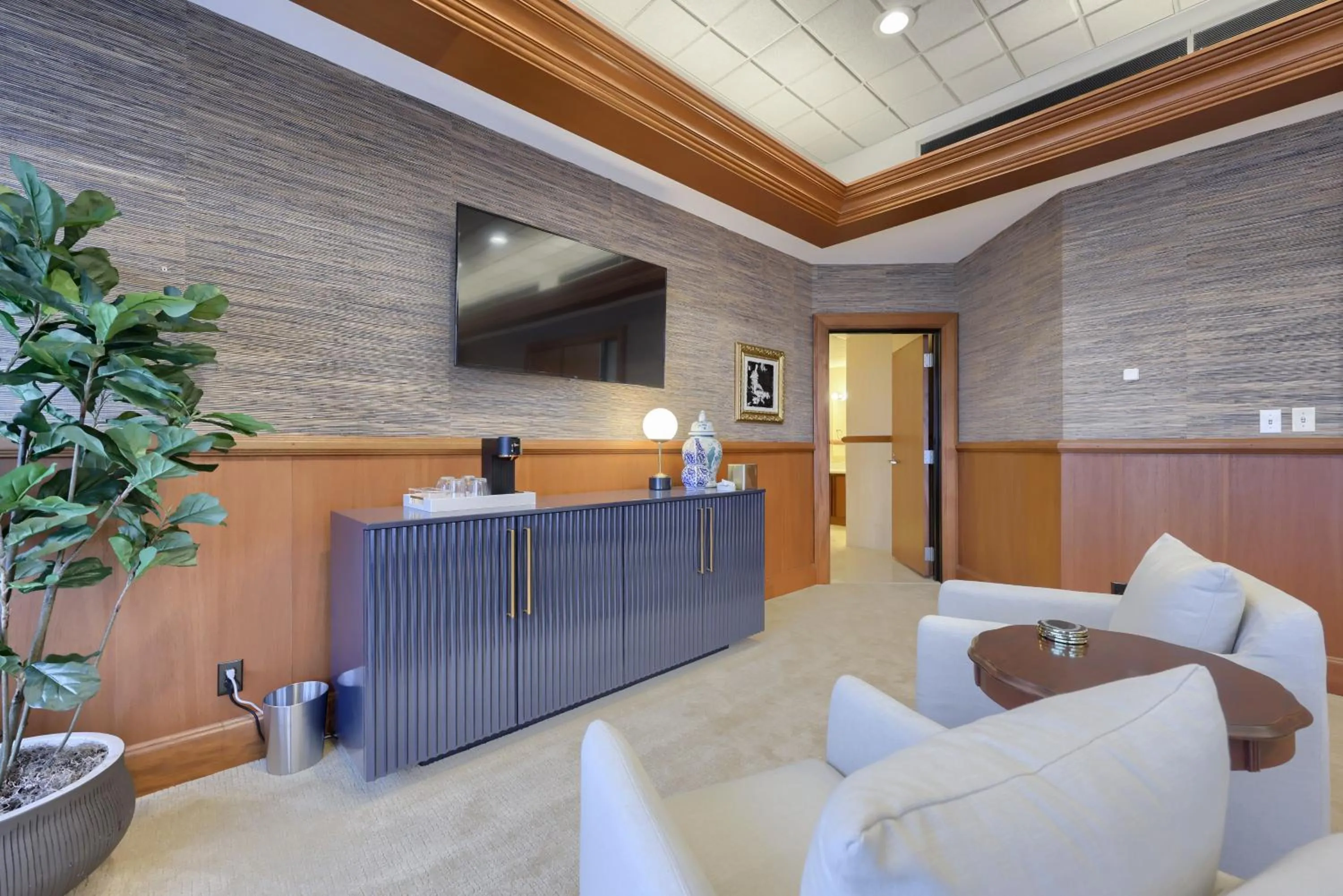 TV and multimedia in The Executive Suites and Events