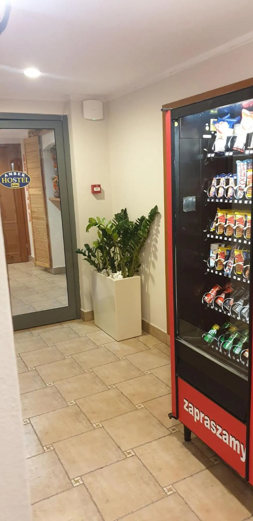 Lobby or reception in Amber Hostel