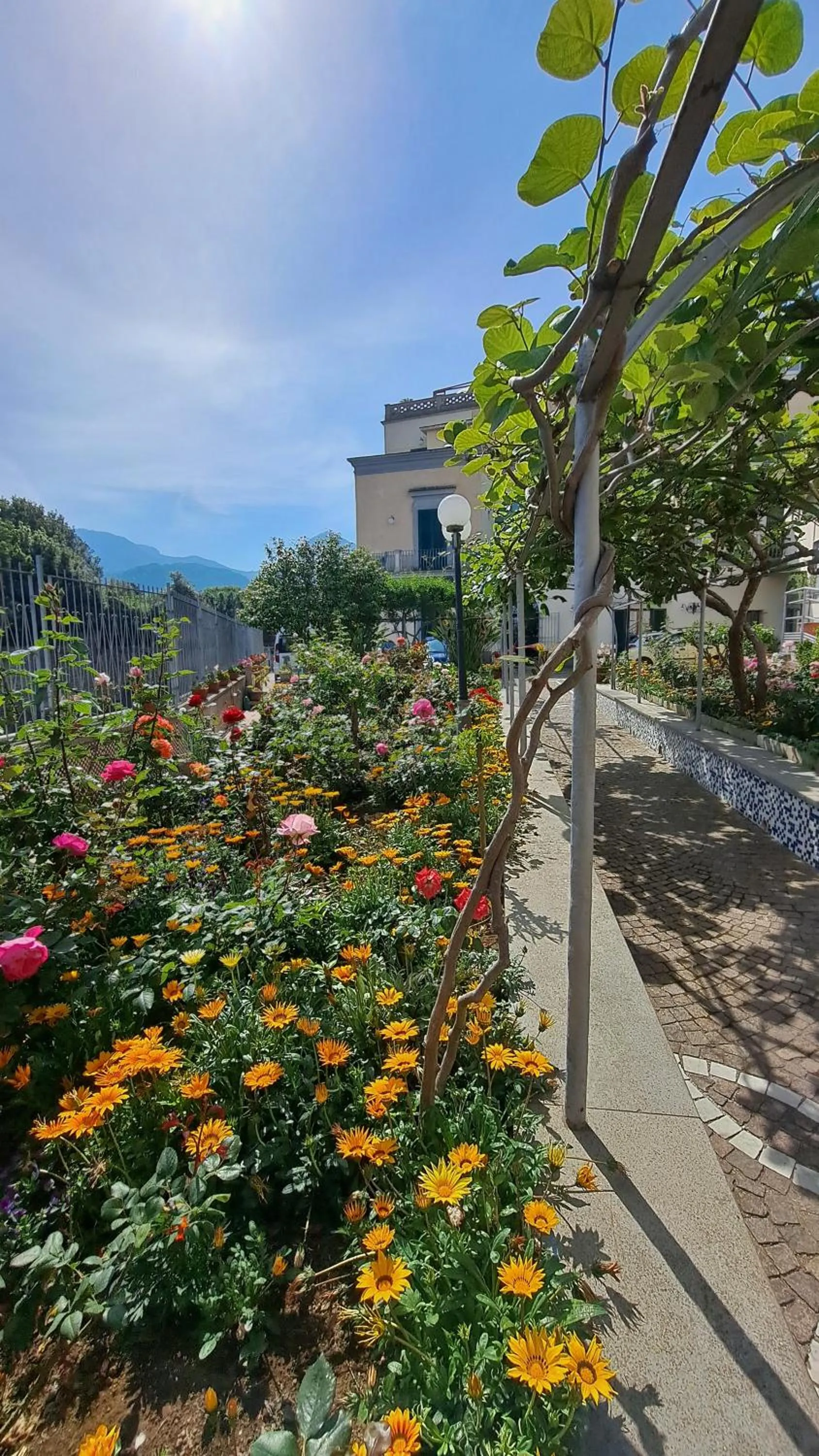 Garden view in Domus San Vincenzo