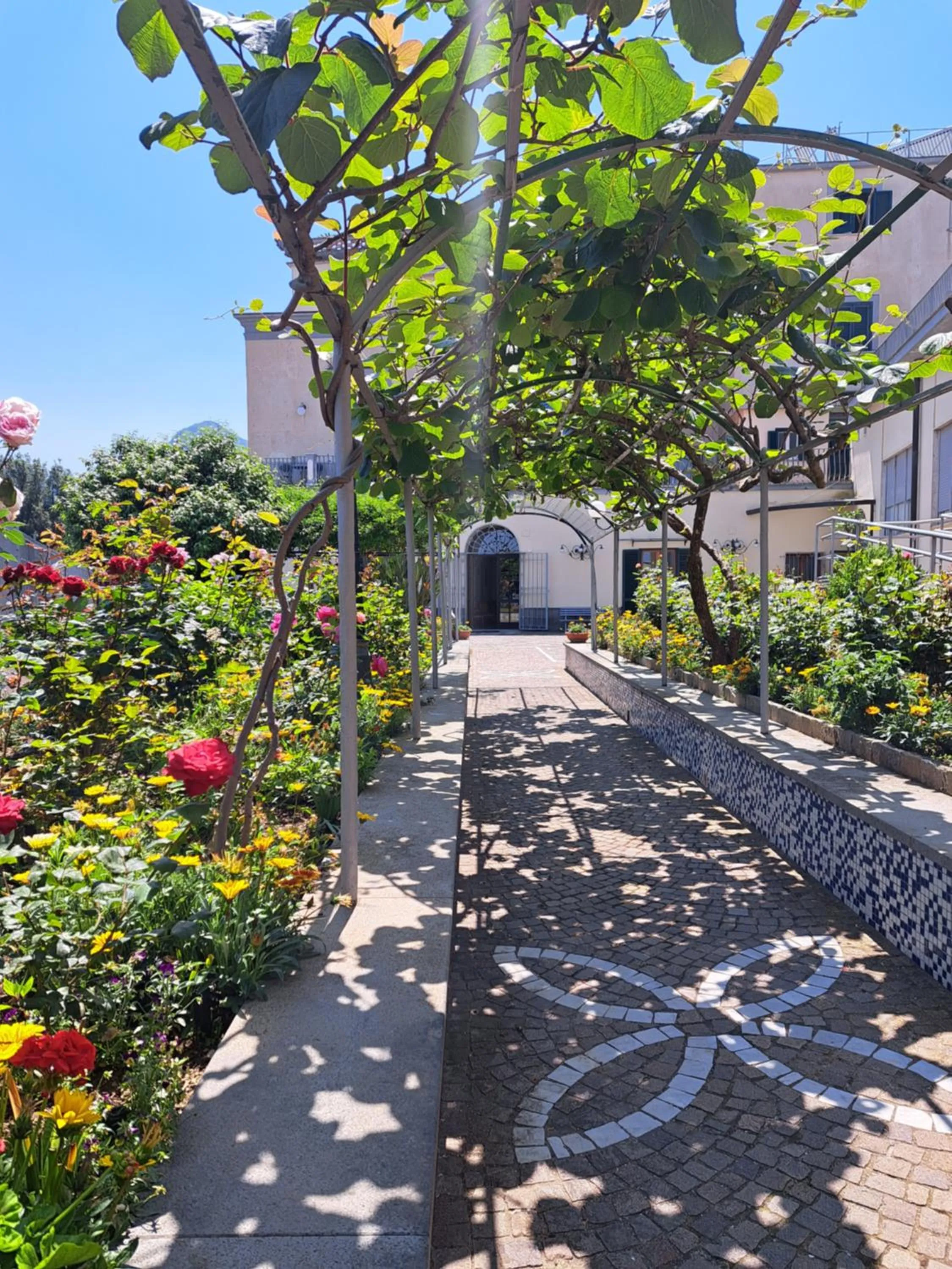 Garden view in Domus San Vincenzo
