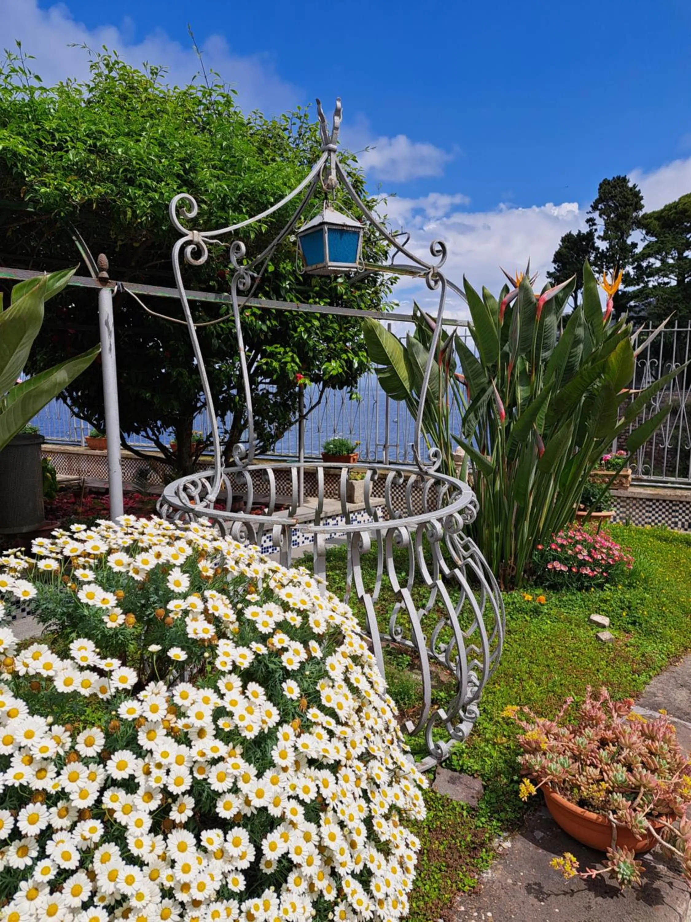 Garden view in Domus San Vincenzo