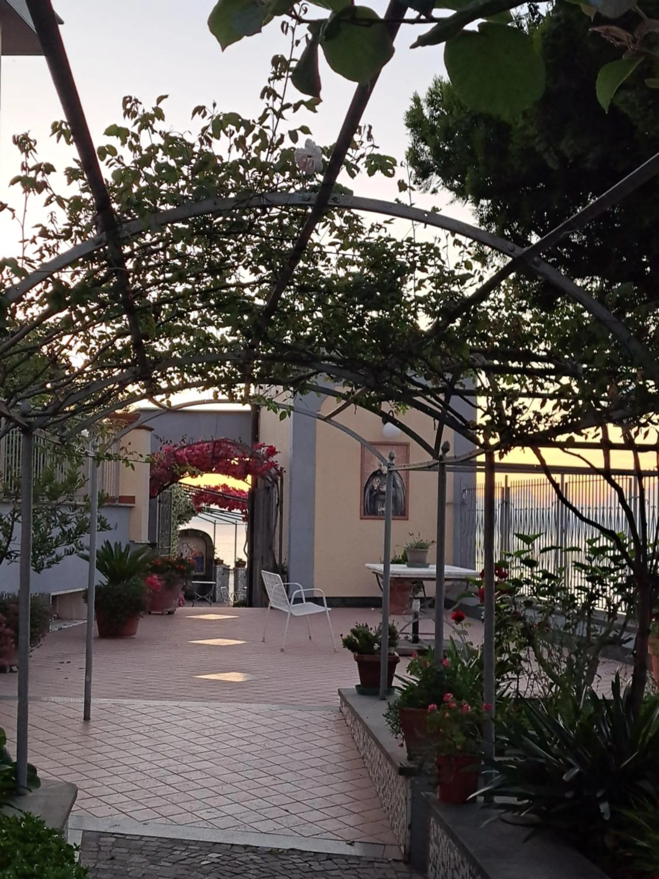 Garden view in Domus San Vincenzo