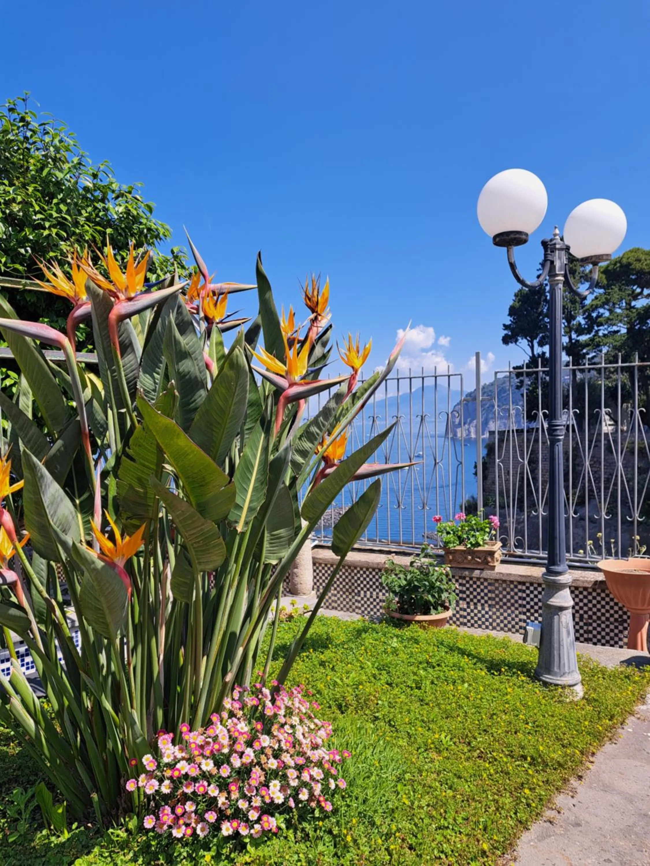 Garden in Domus San Vincenzo
