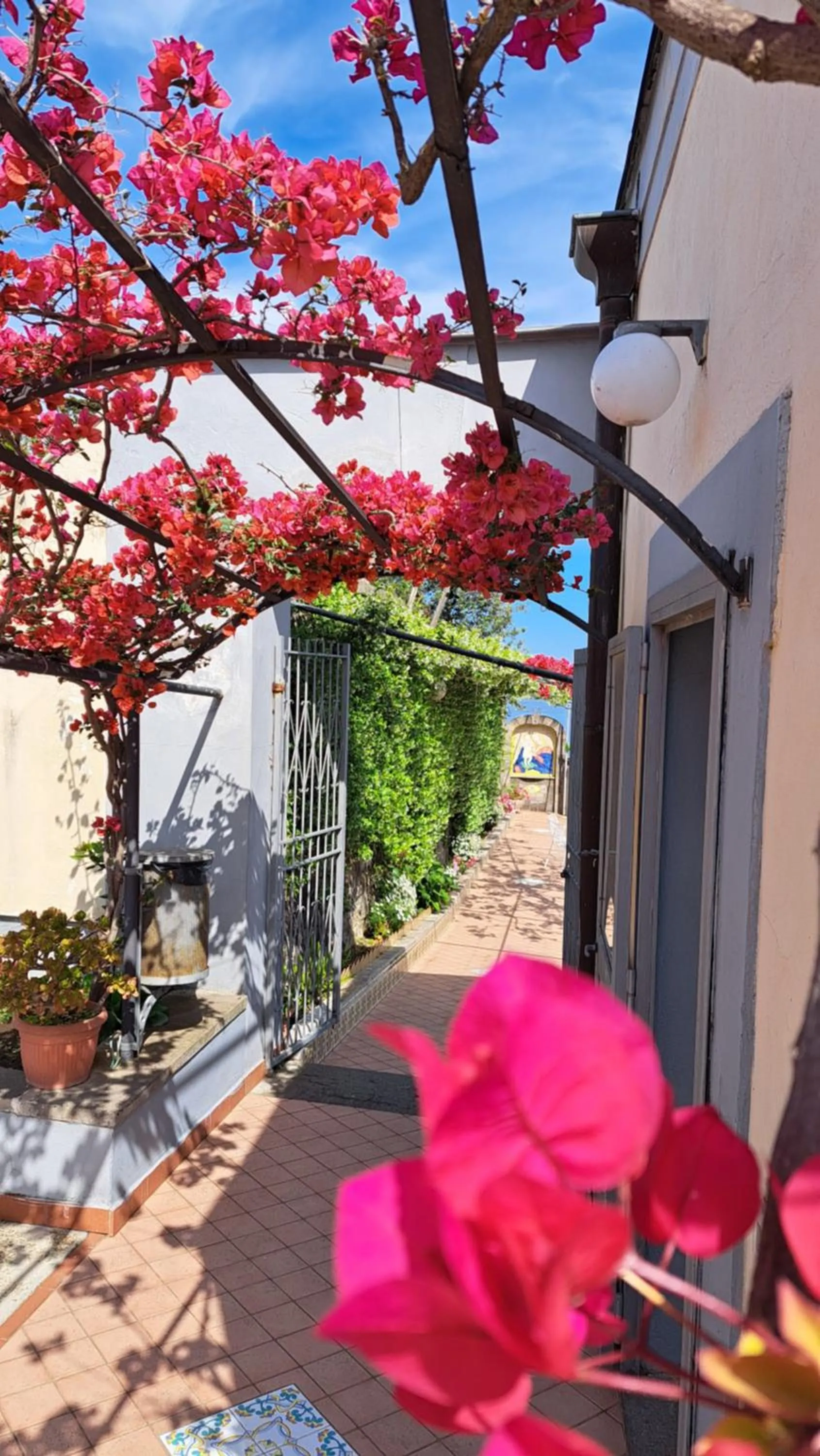 Garden view in Domus San Vincenzo