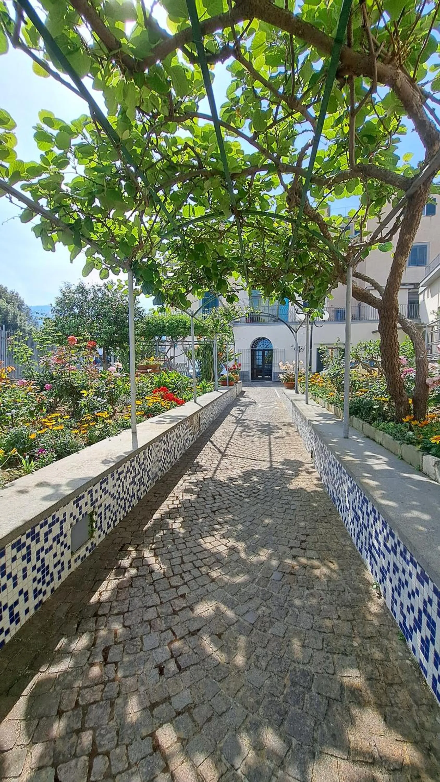 Garden view in Domus San Vincenzo