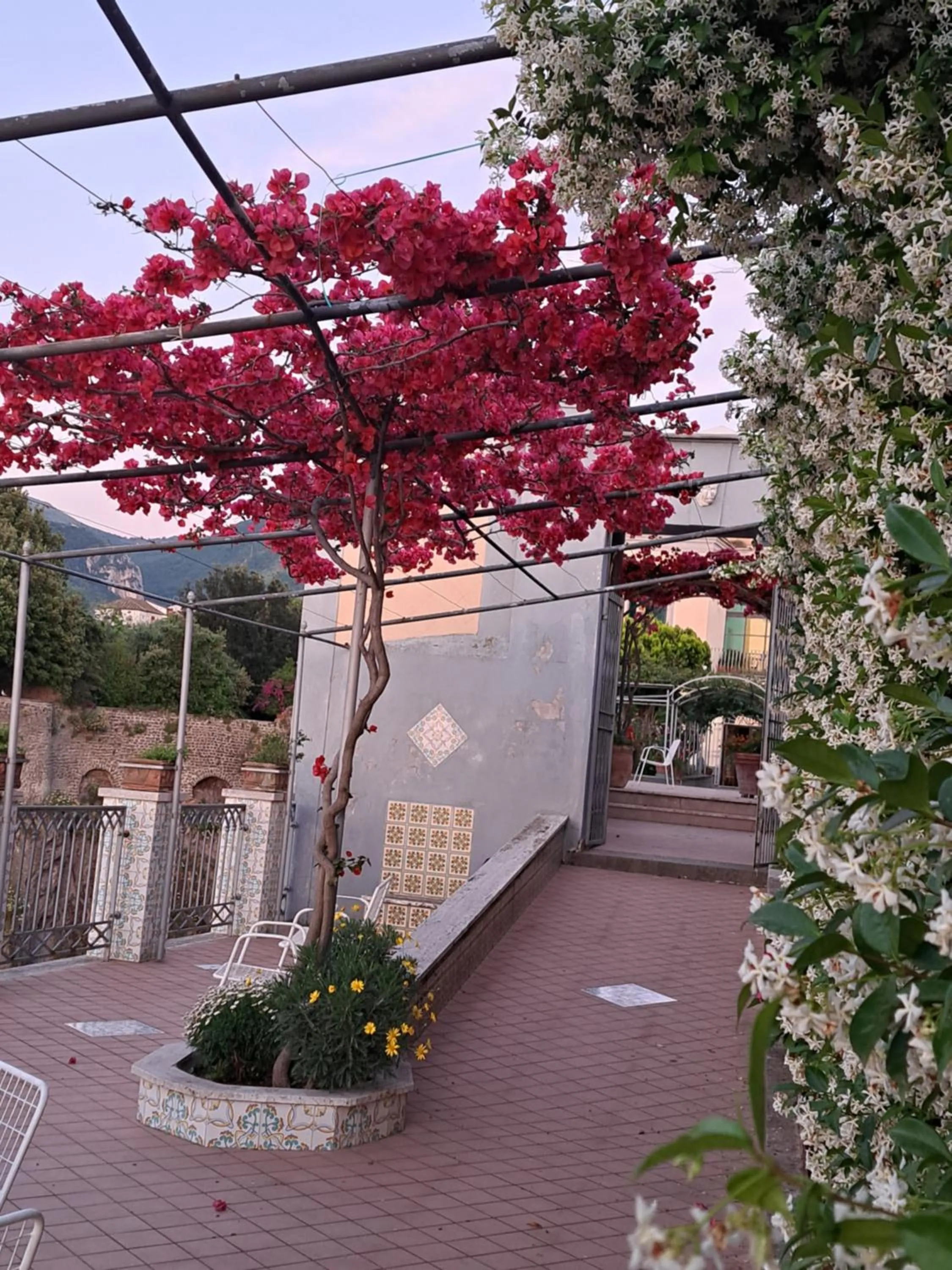 Garden view in Domus San Vincenzo
