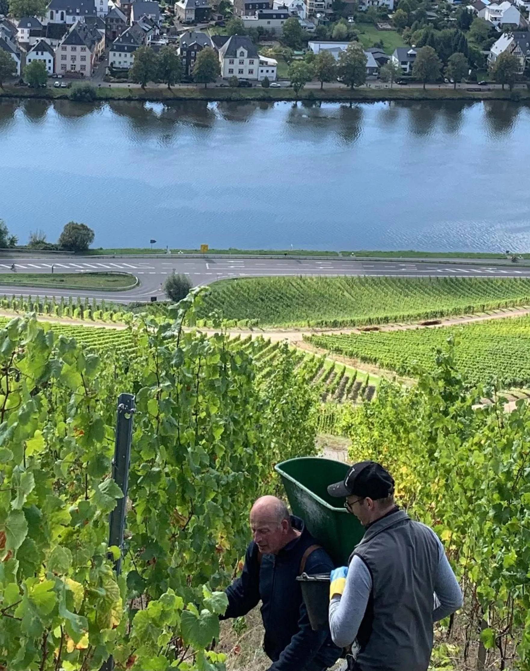 Weinhof Michael Morbach