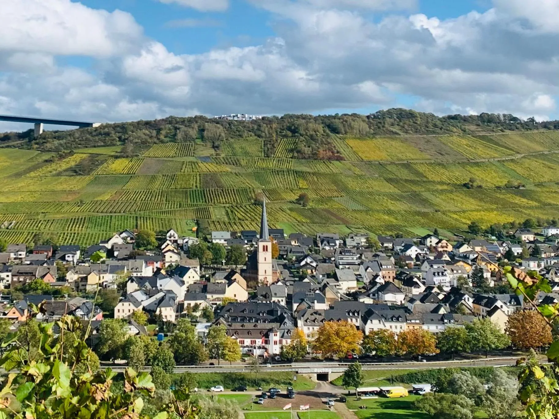 Weinhof Michael Morbach