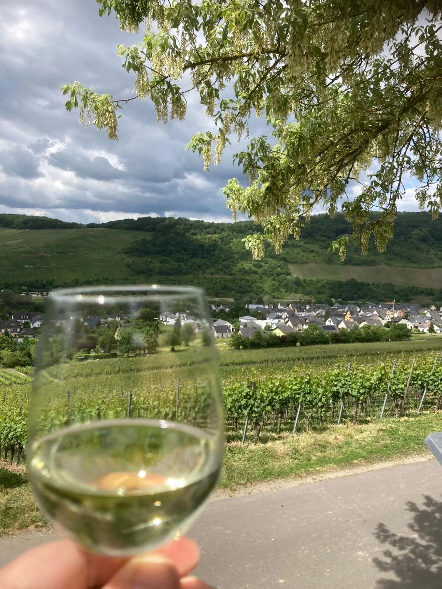 Weinhof Michael Morbach