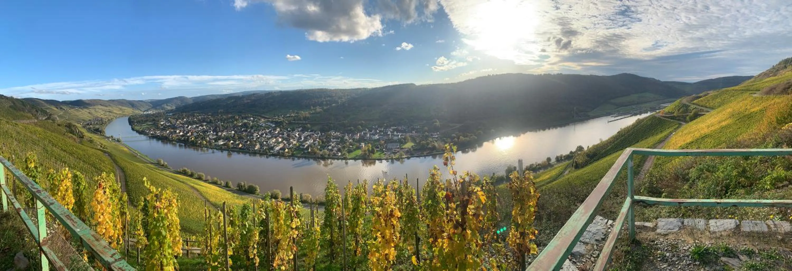 Weinhof Michael Morbach