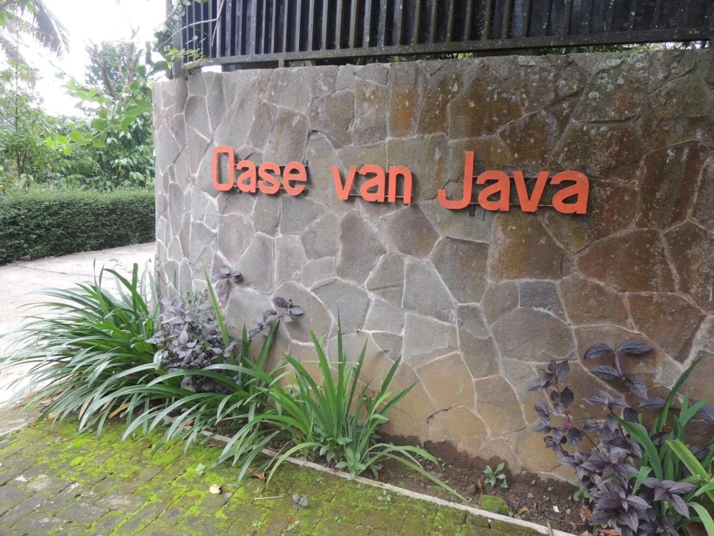Property building in Oase Van Java