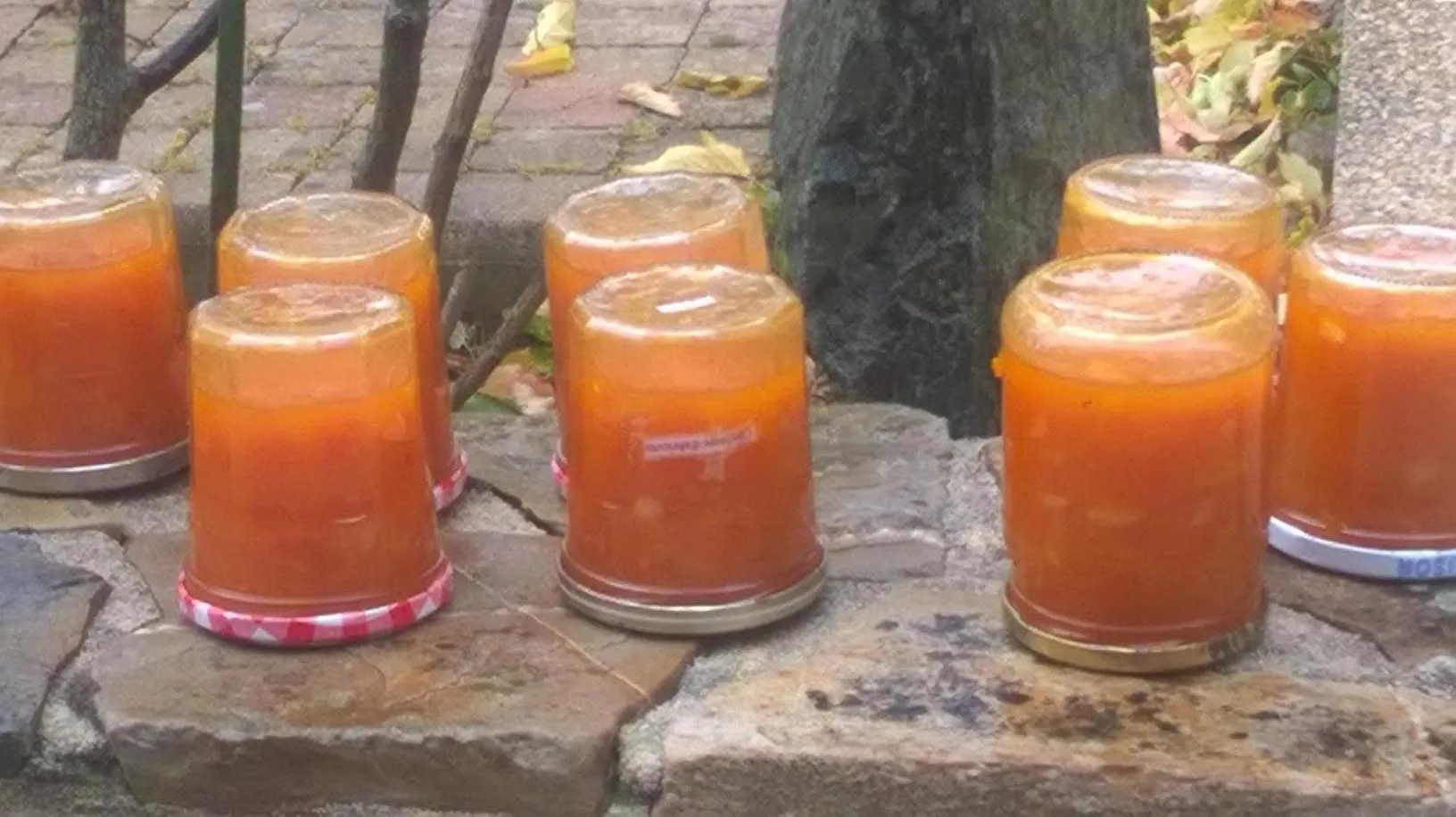 Food in La P'tit' Fugue