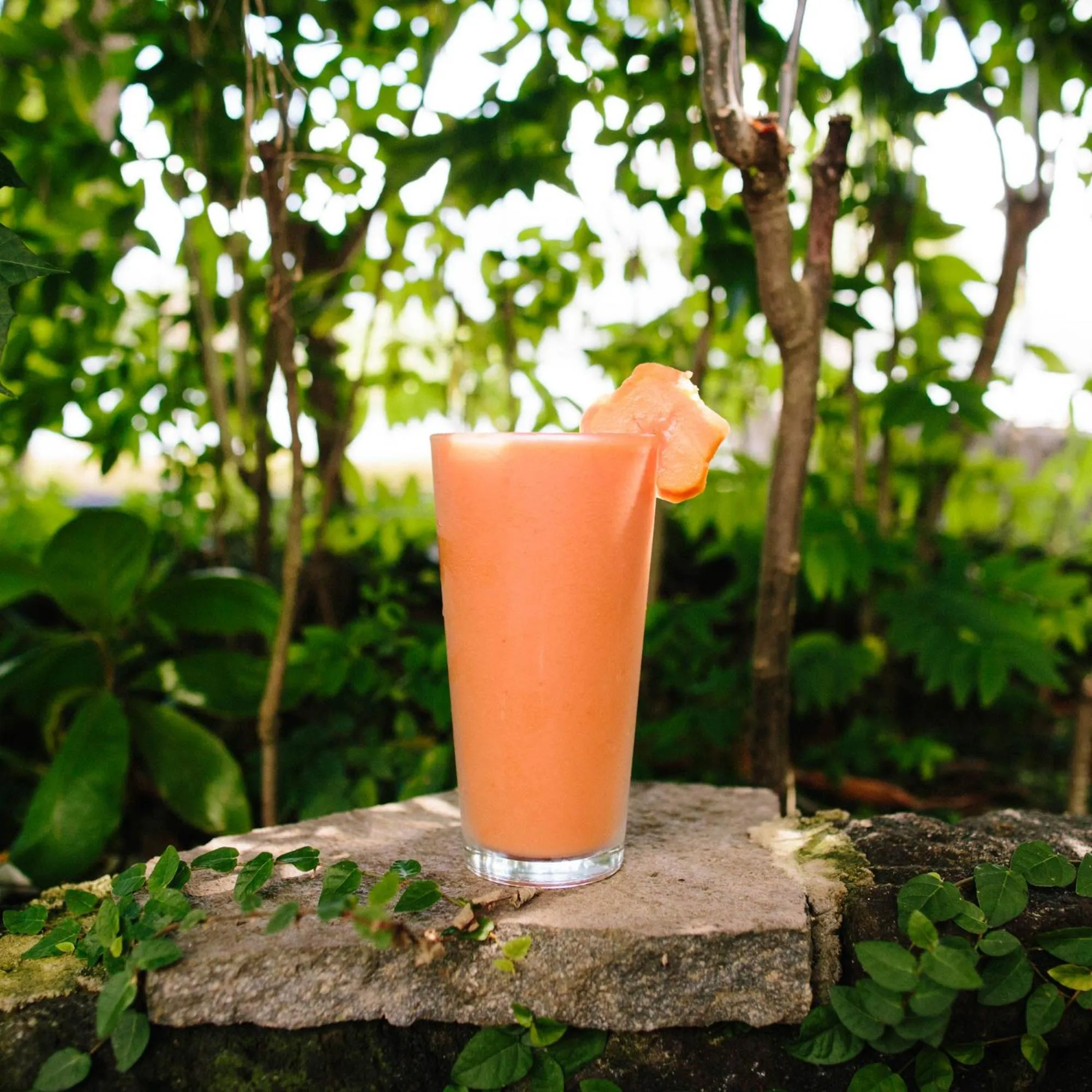 Restaurant/places to eat in Isleta El Espino Ecolodge