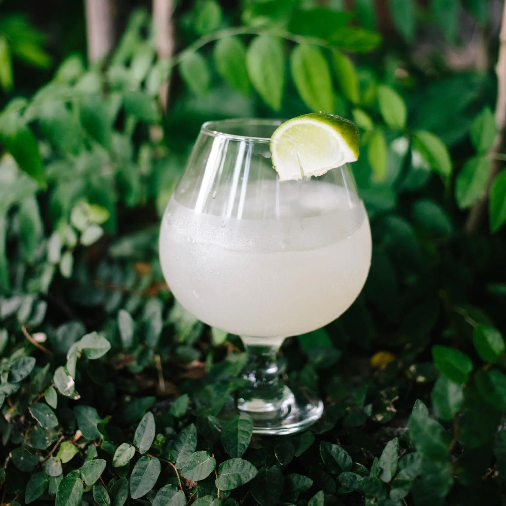 Restaurant/places to eat in Isleta El Espino Ecolodge