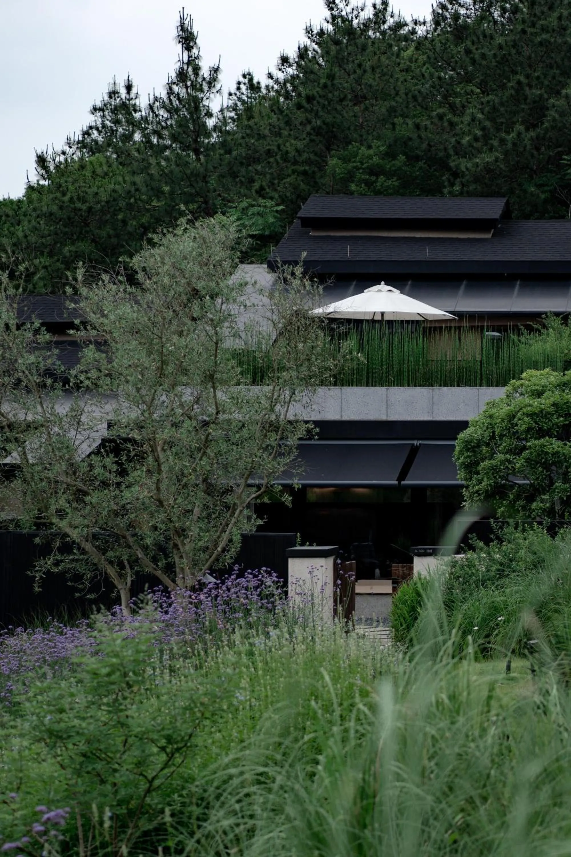 Property building in Anji ke gamer wild luxury Resort villa