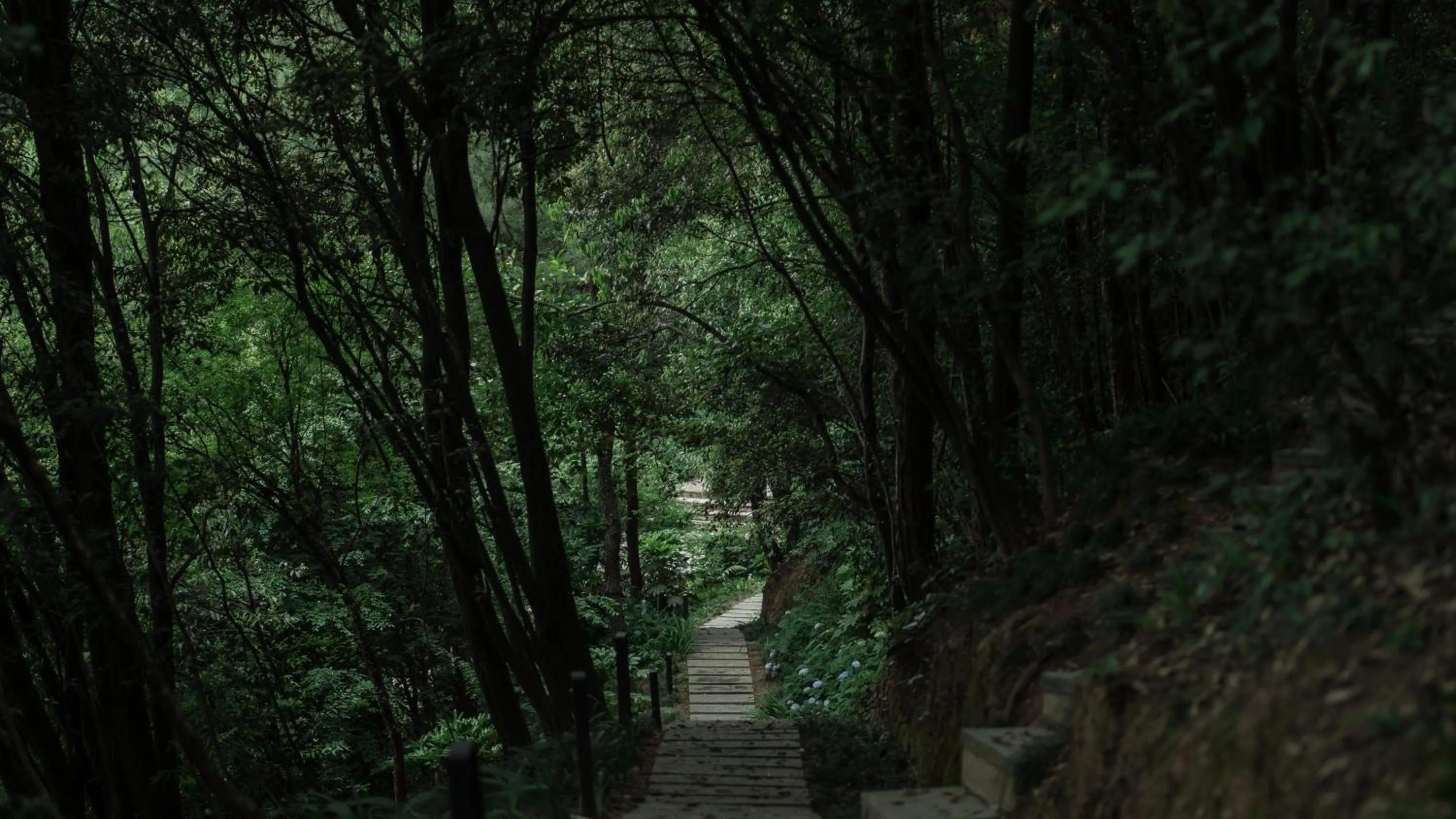 Property building in Anji ke gamer wild luxury Resort villa