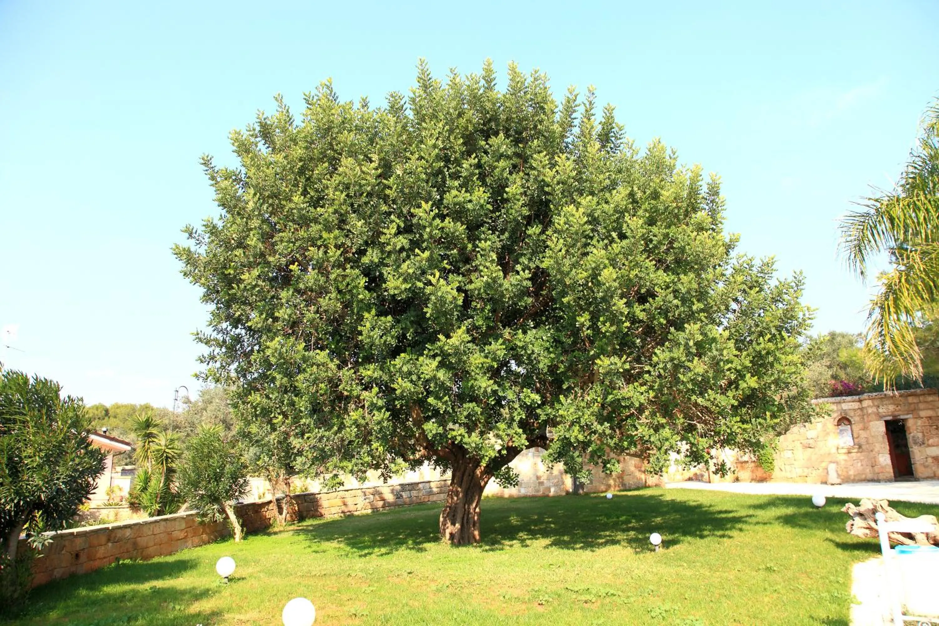 Garden in Eden Resort Country