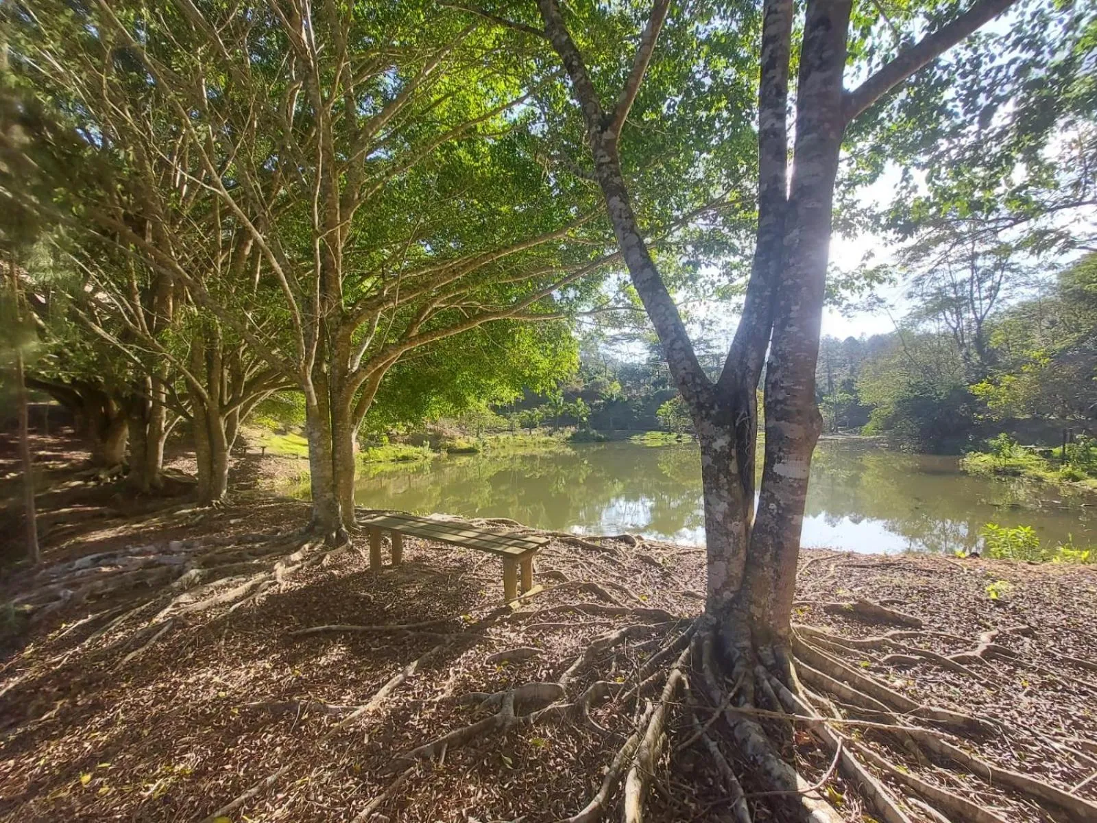 Hiking in Pousada Lisieux