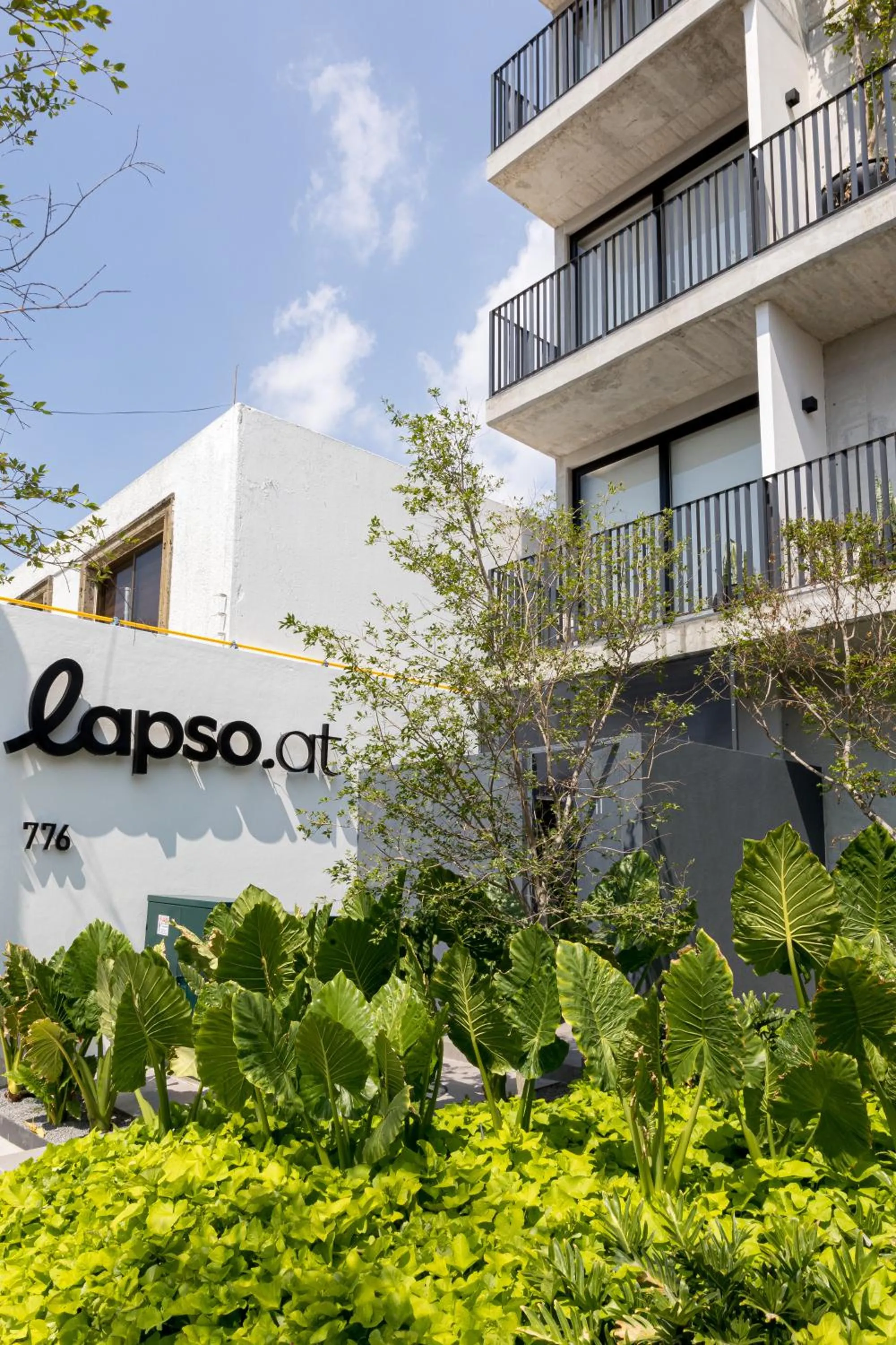 Lapso At Asís