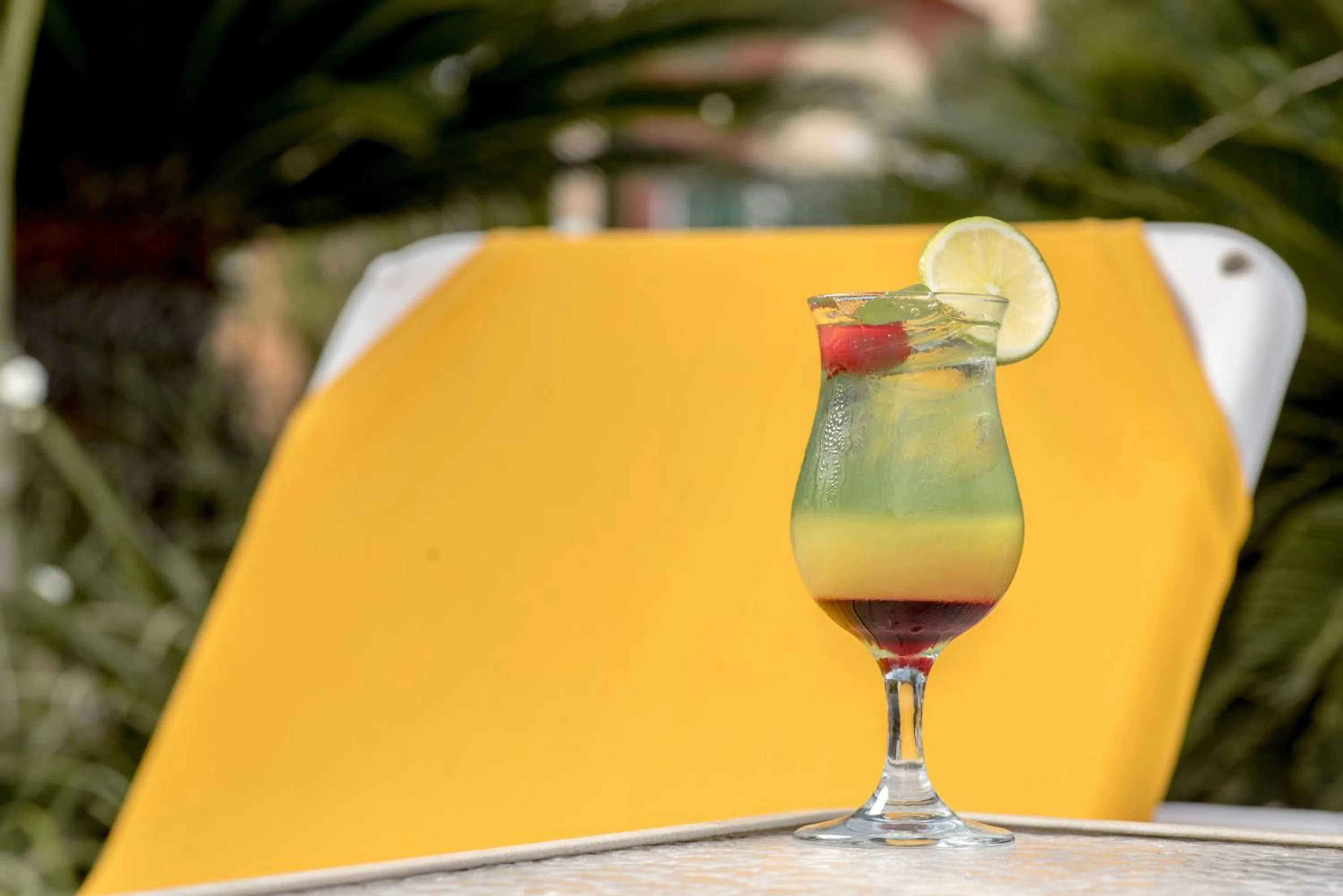 Lounge or bar in Hodelpa Garden Suites - All Inclusive