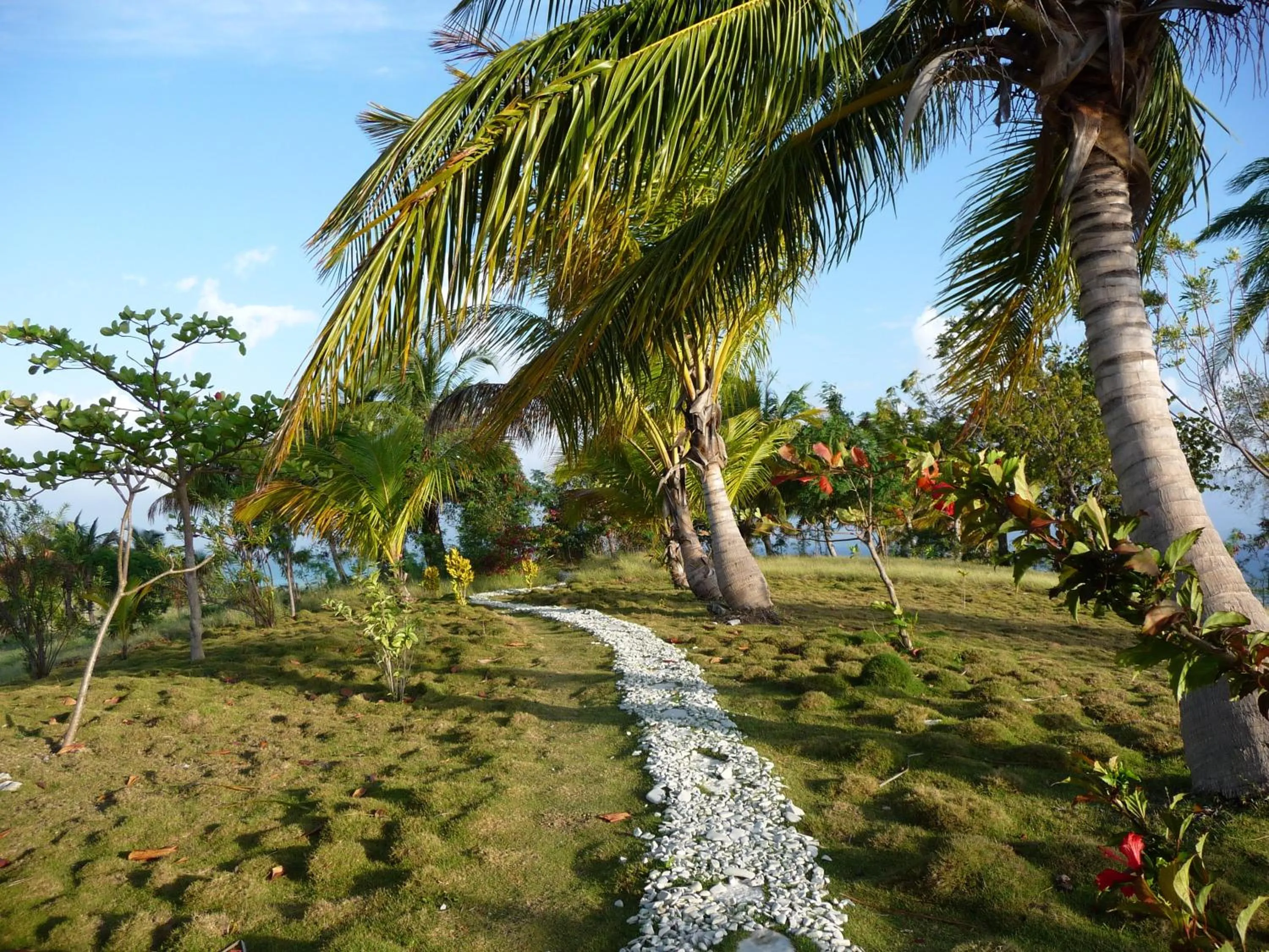 Garden in Suites la Colline
