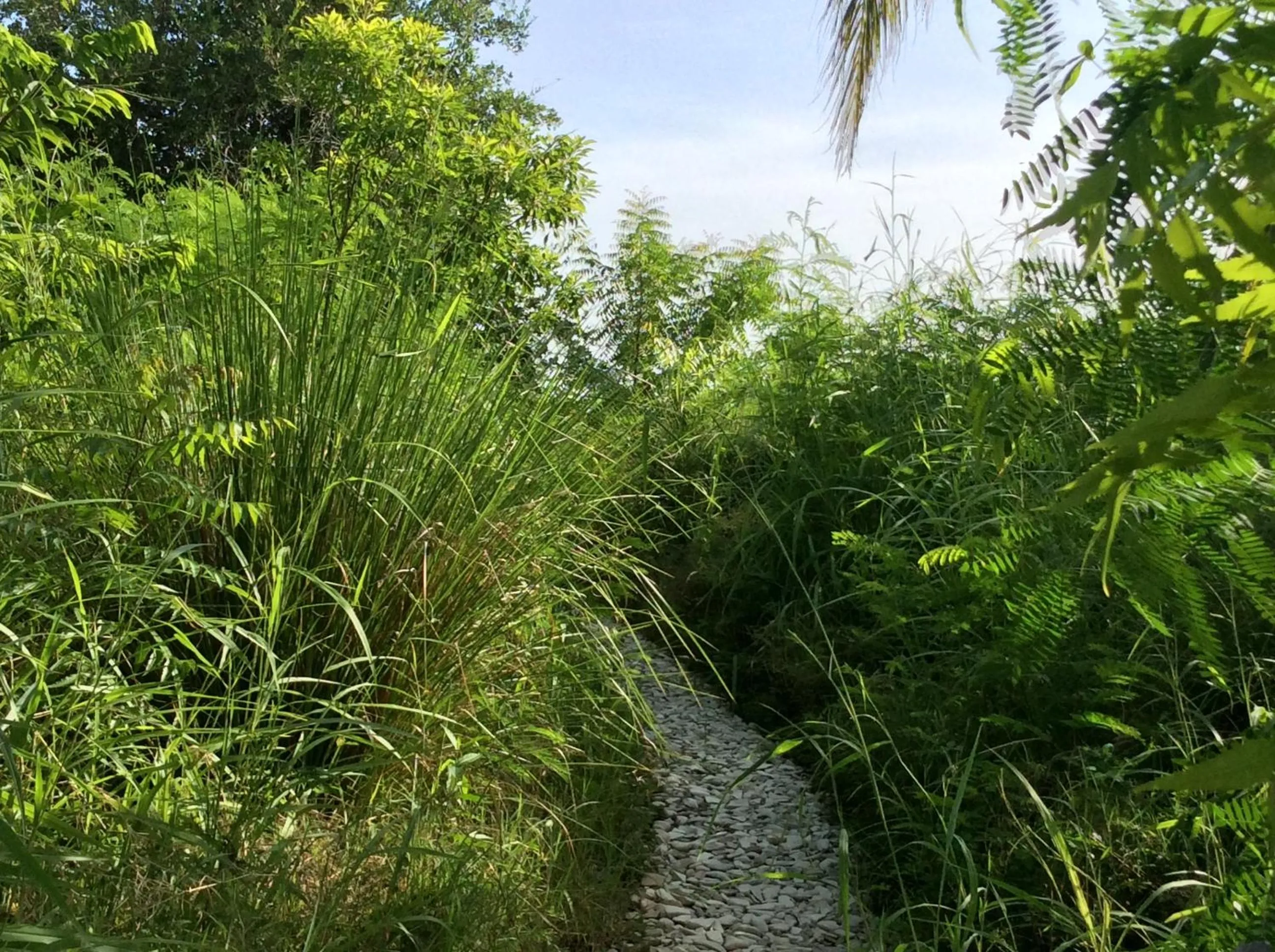 Garden in Suites la Colline