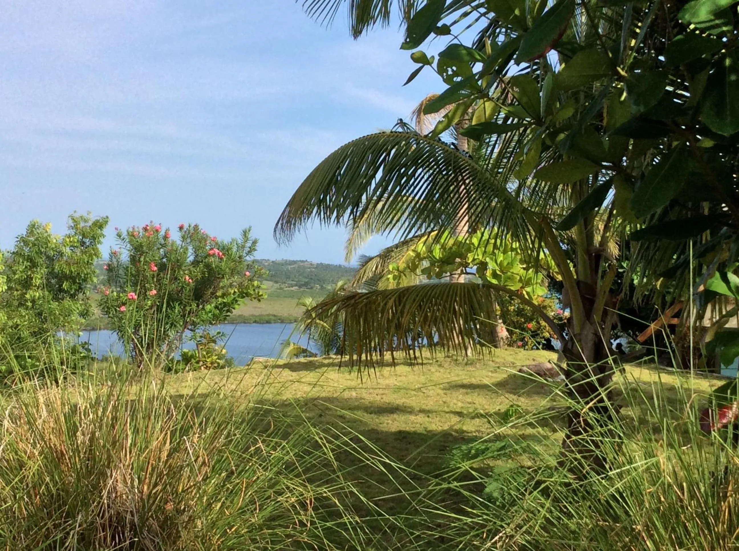 Garden in Suites la Colline