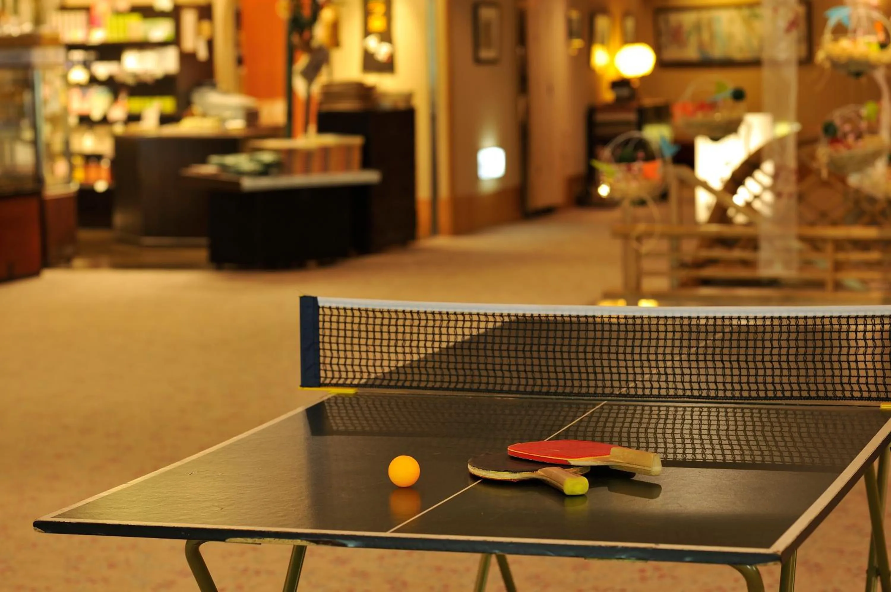 Table tennis in Hakkei