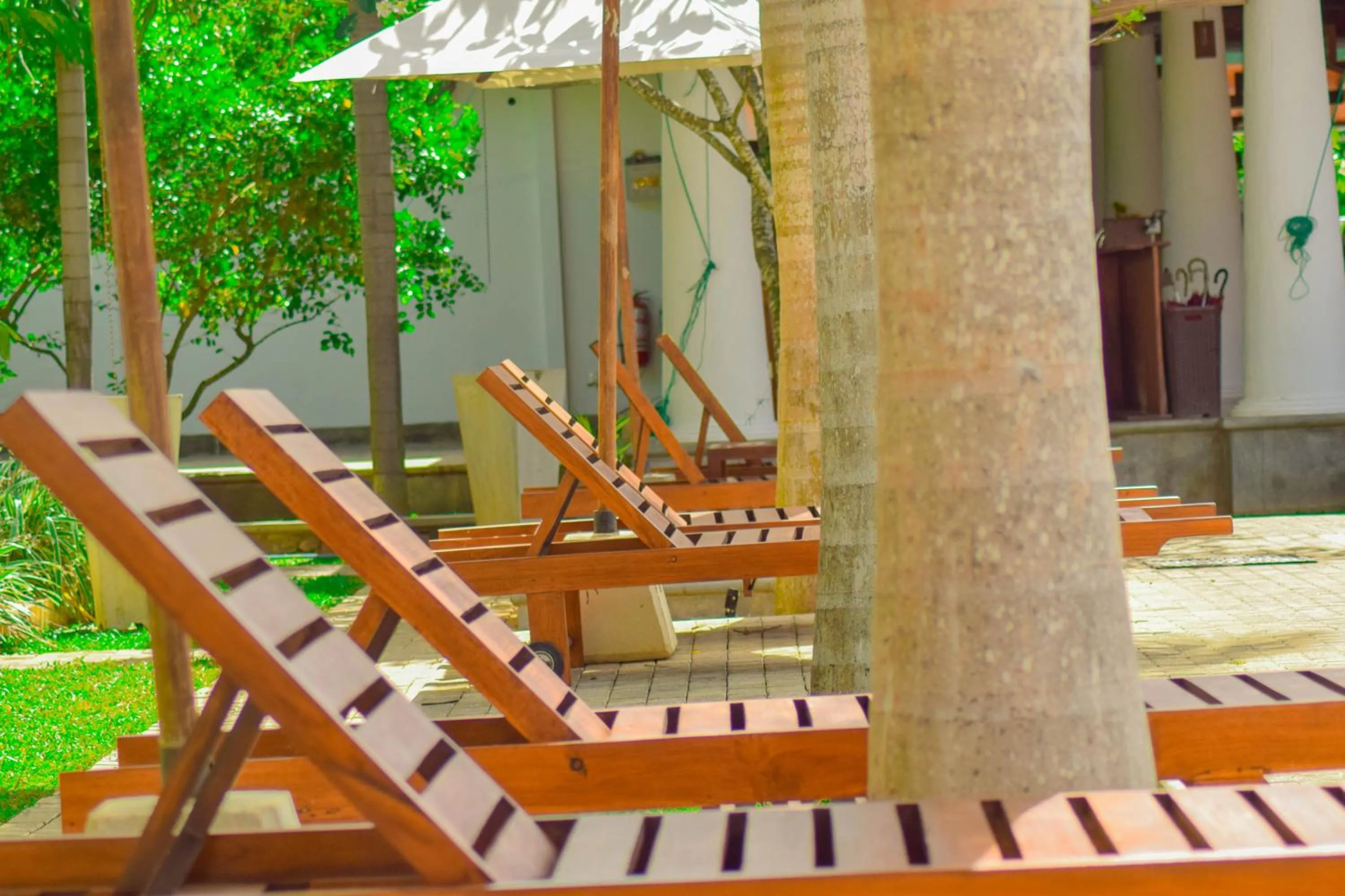 Property building in Hotel Tamarind Tree