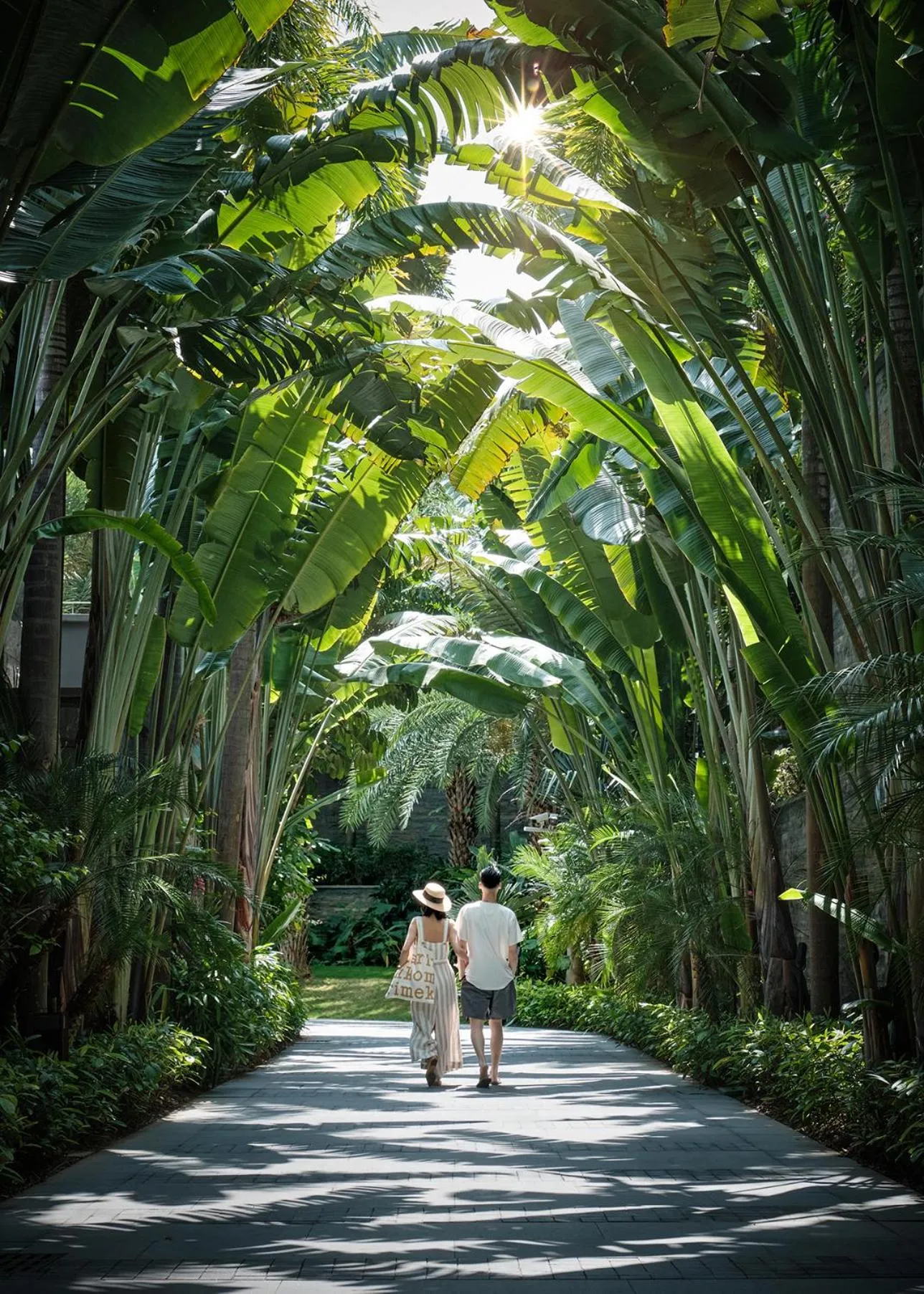 Garden in Park Hyatt Sanya Sunny Bay Resort