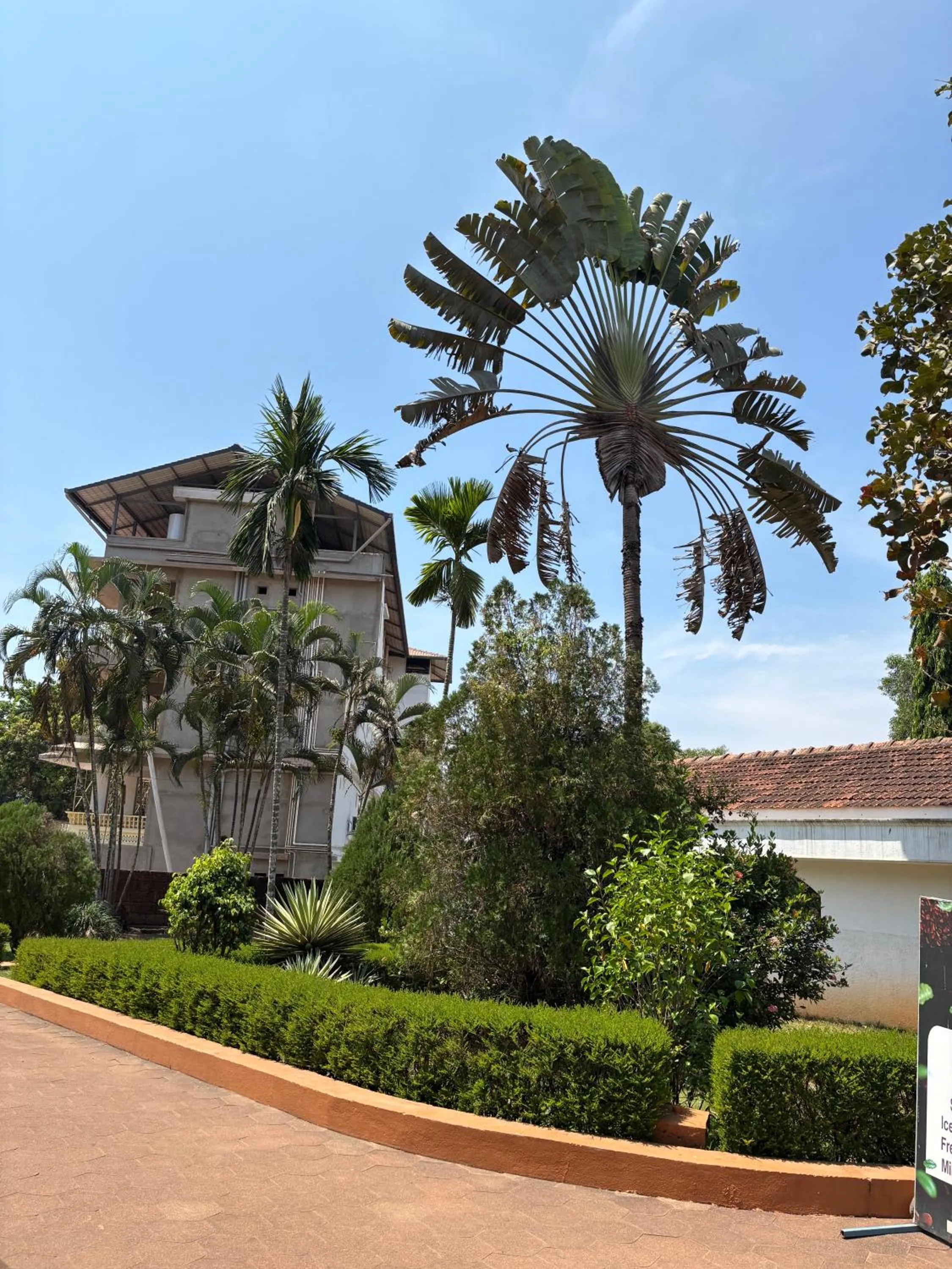 Garden in Manasa Water Park and Resort