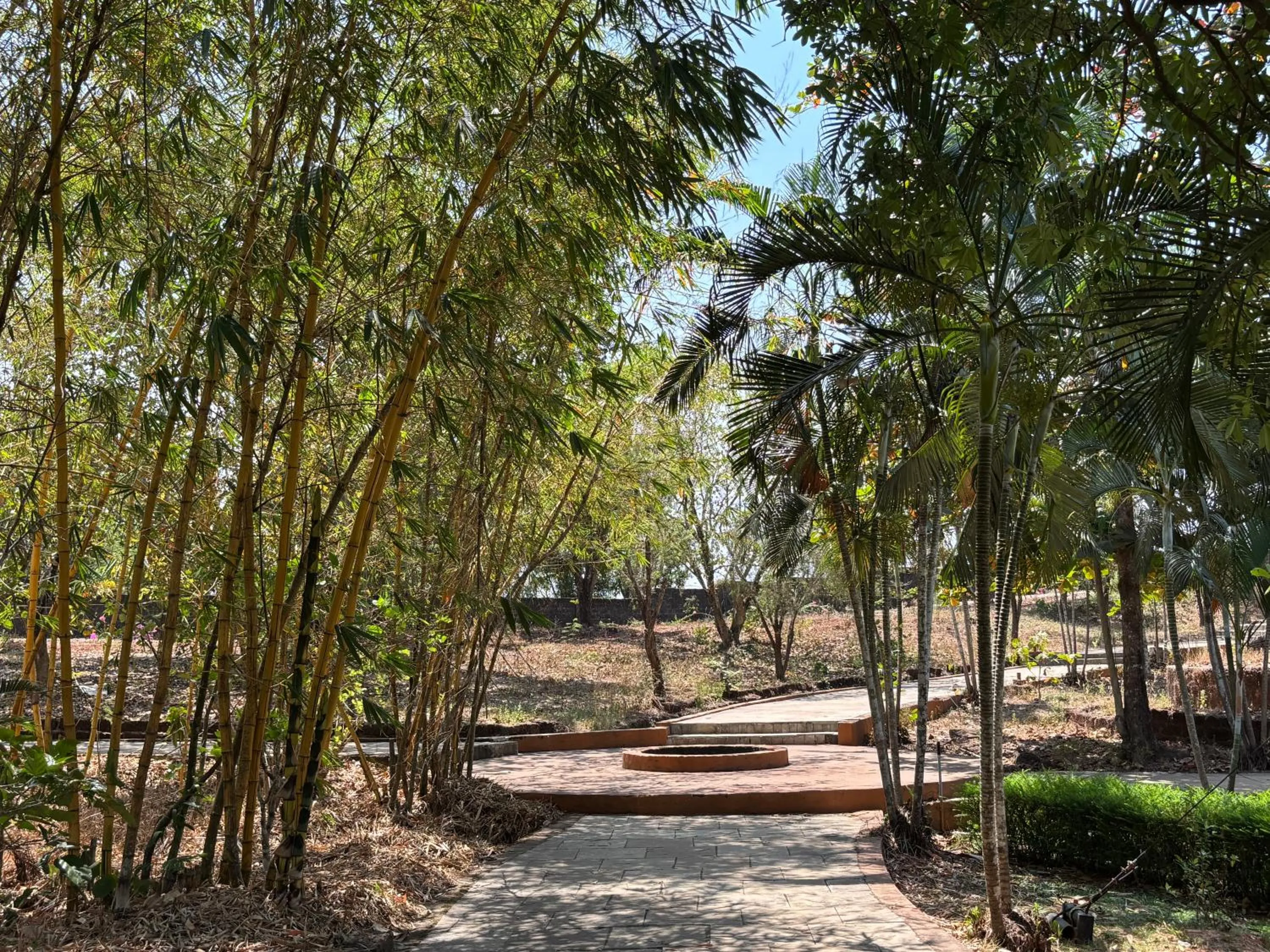 Garden in Manasa Water Park and Resort