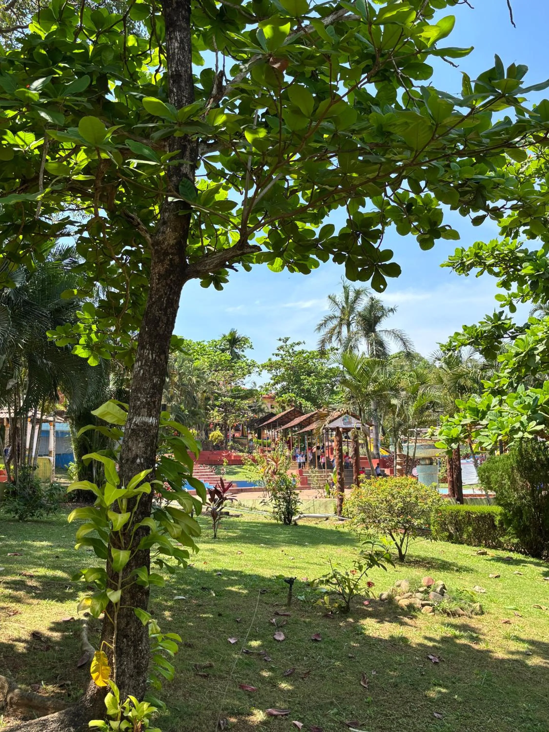 Garden in Manasa Water Park and Resort