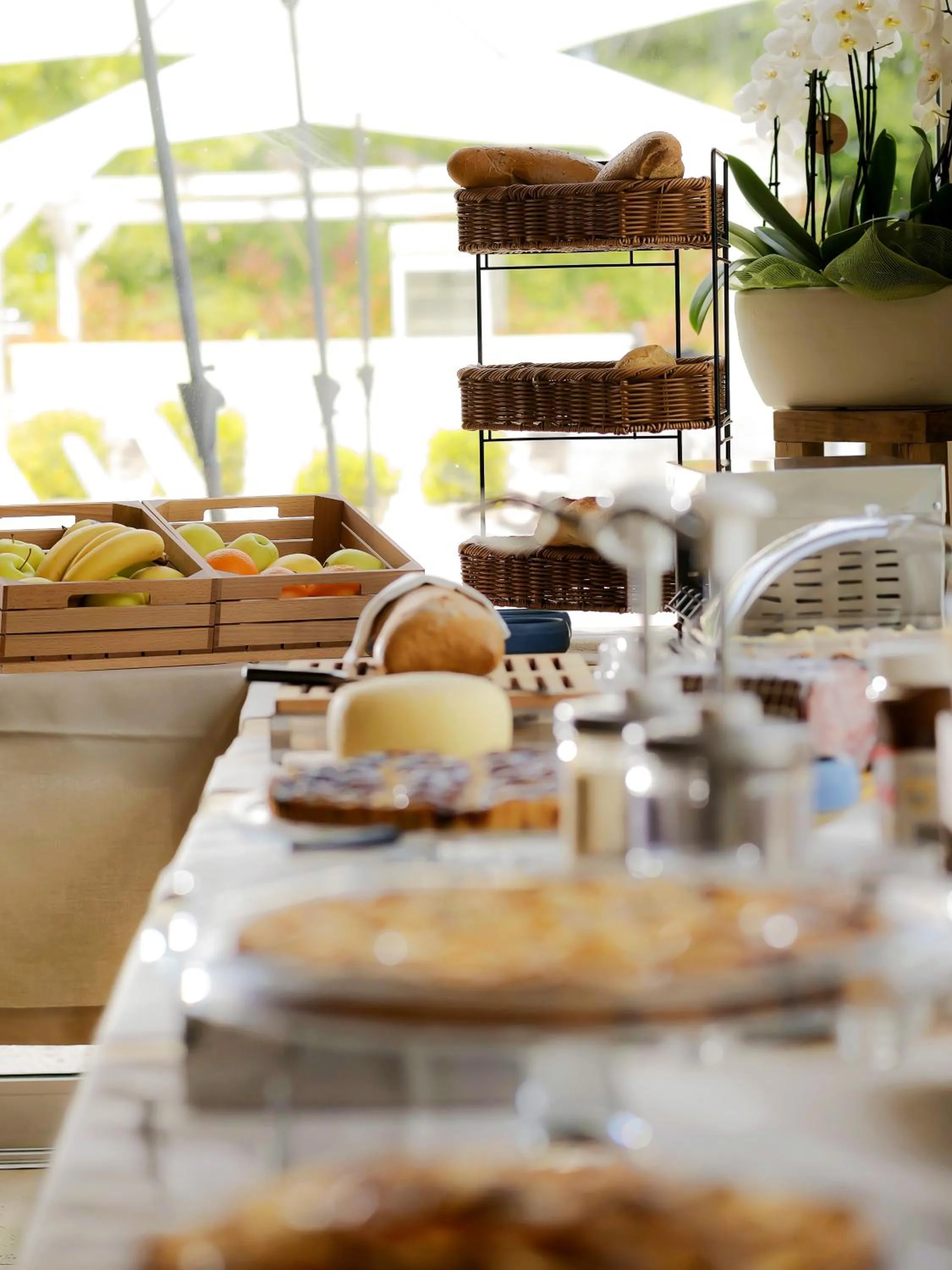 Food and drinks in Hotel Arezzo ASC