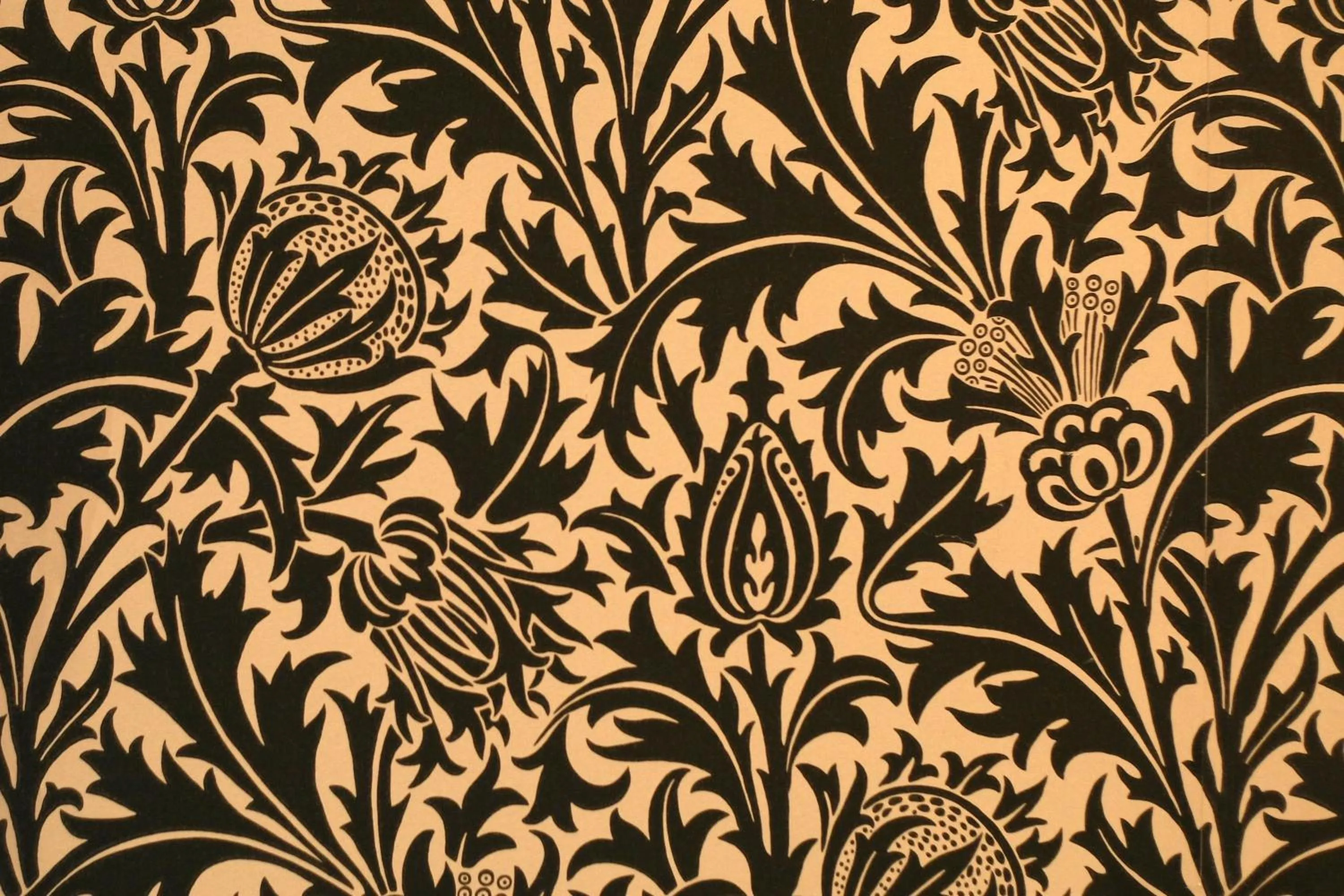 Decorative detail in Atypical Rooms