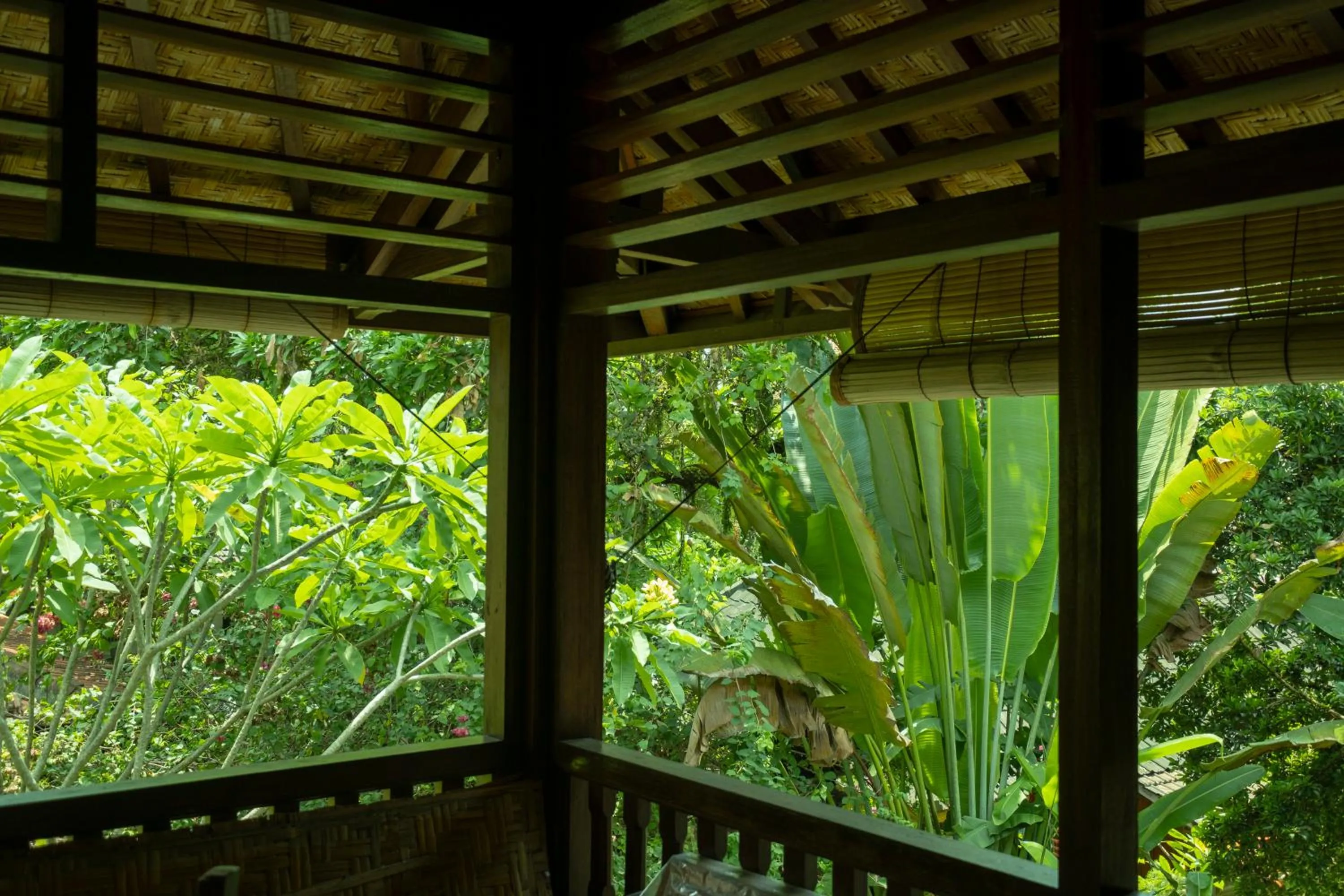 Garden view in Murni's Houses & Spa