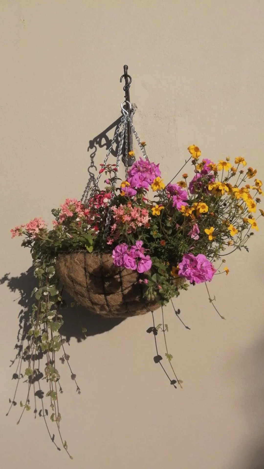 Garden in Applecroft House