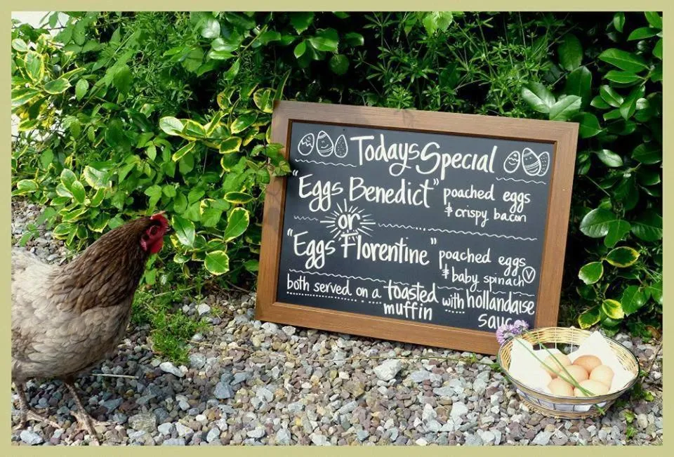 Breakfast in Applecroft House