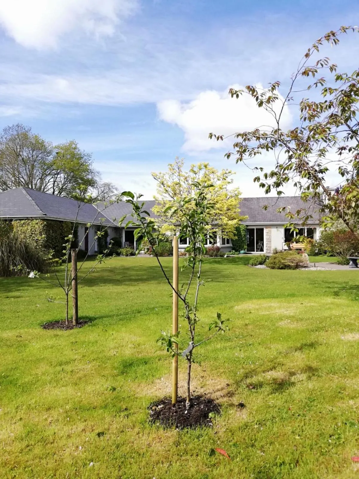 Property building in Applecroft House