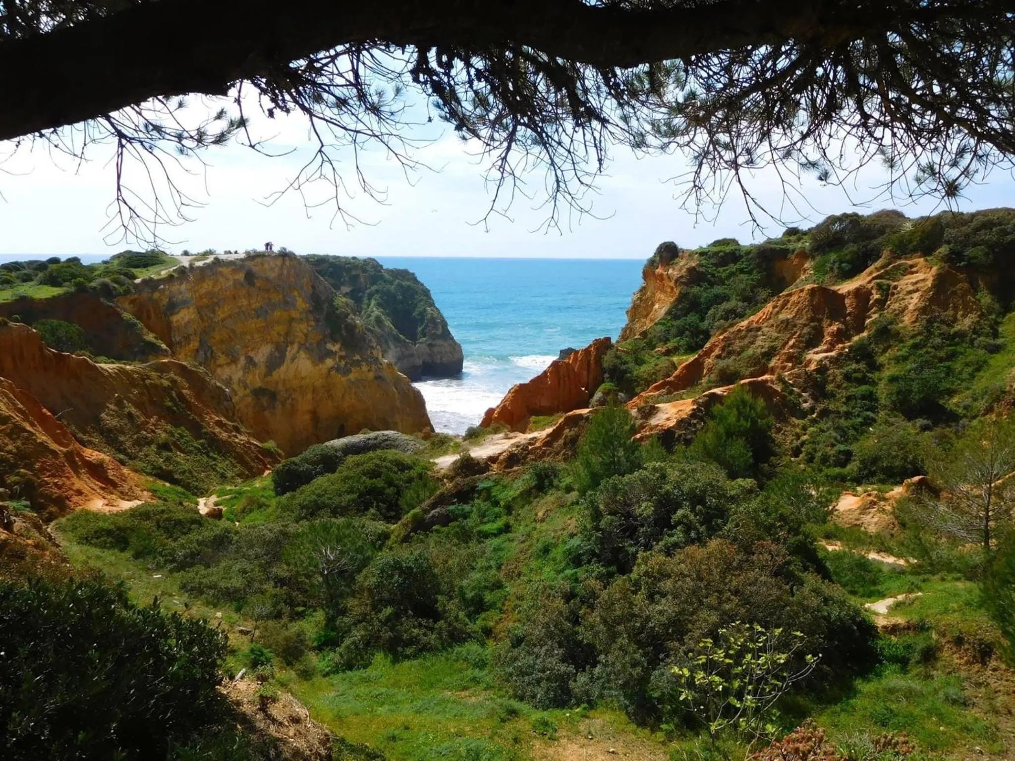 Natural landscape in Casa Largo do Poço Guesthouse