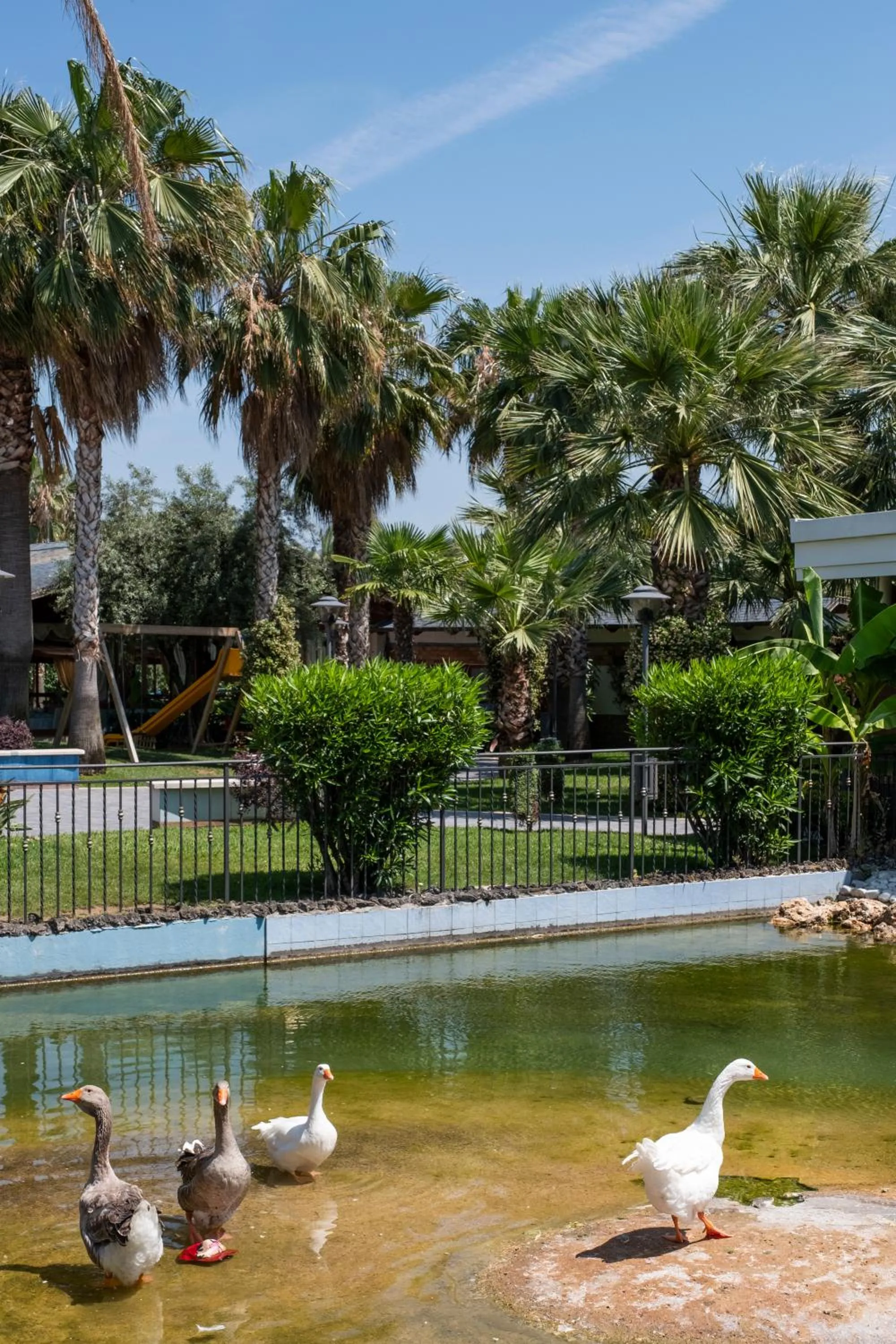 Garden in Hotel San Luca