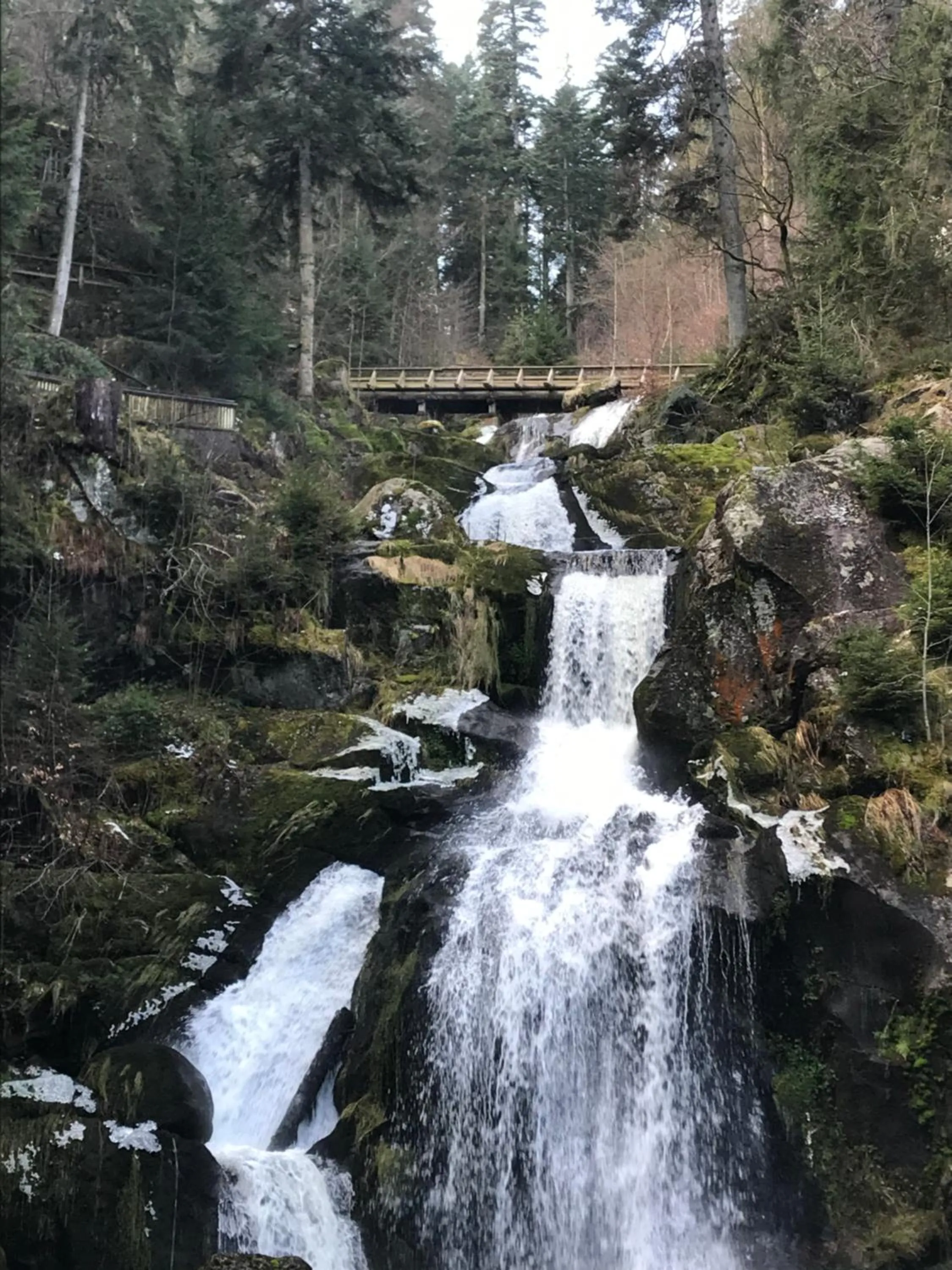 Nearby landmark in Hotel Central Garni