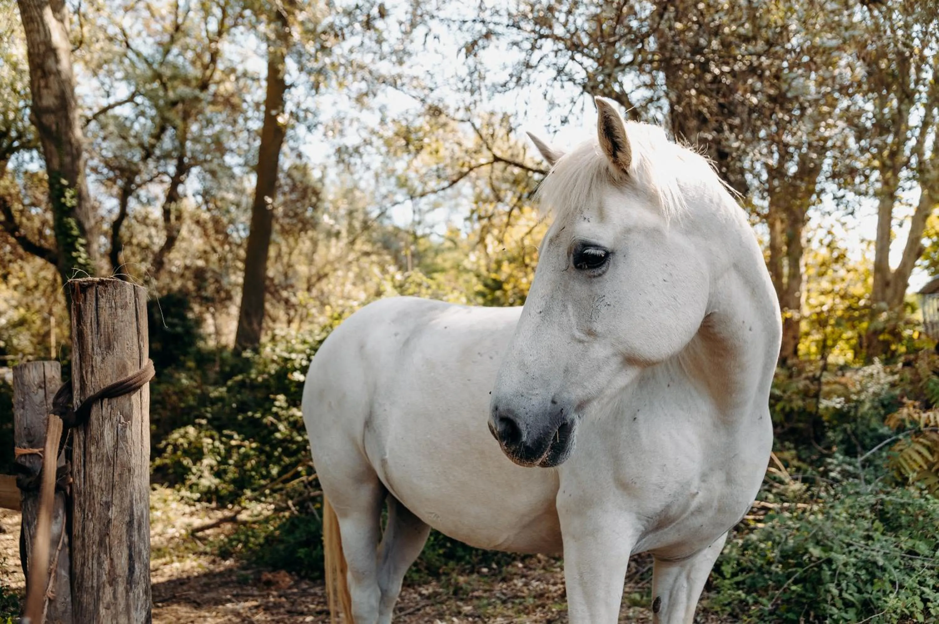Activities in Hôtel Domaine de Biar