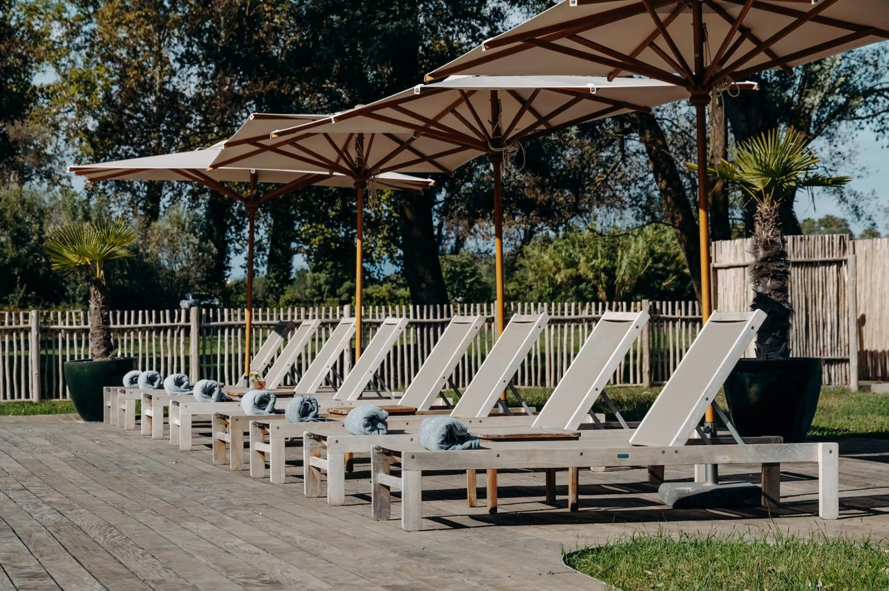 Swimming pool in Hôtel Domaine de Biar