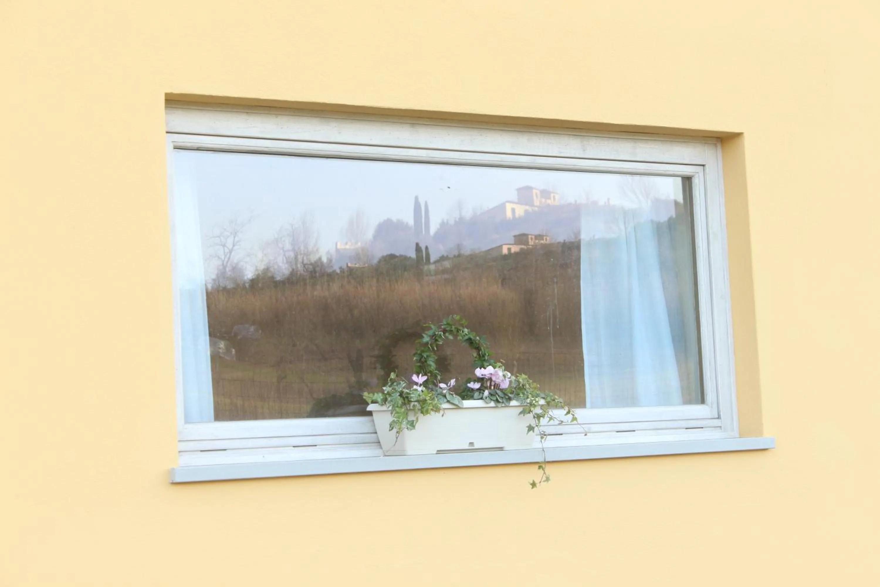 Decorative detail in B&B Oliver