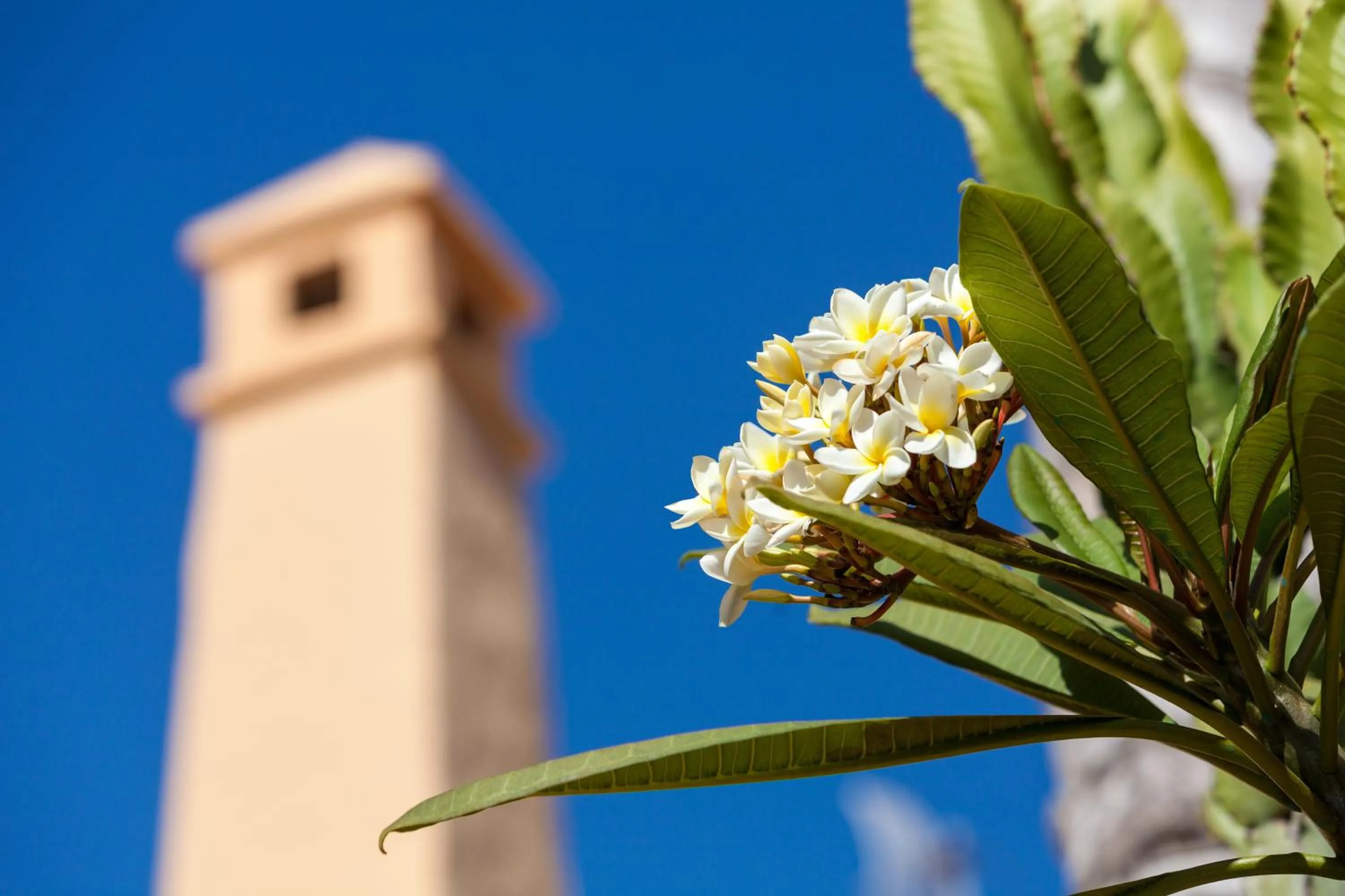 Decorative detail in Tagoro Family & Fun Costa Adeje