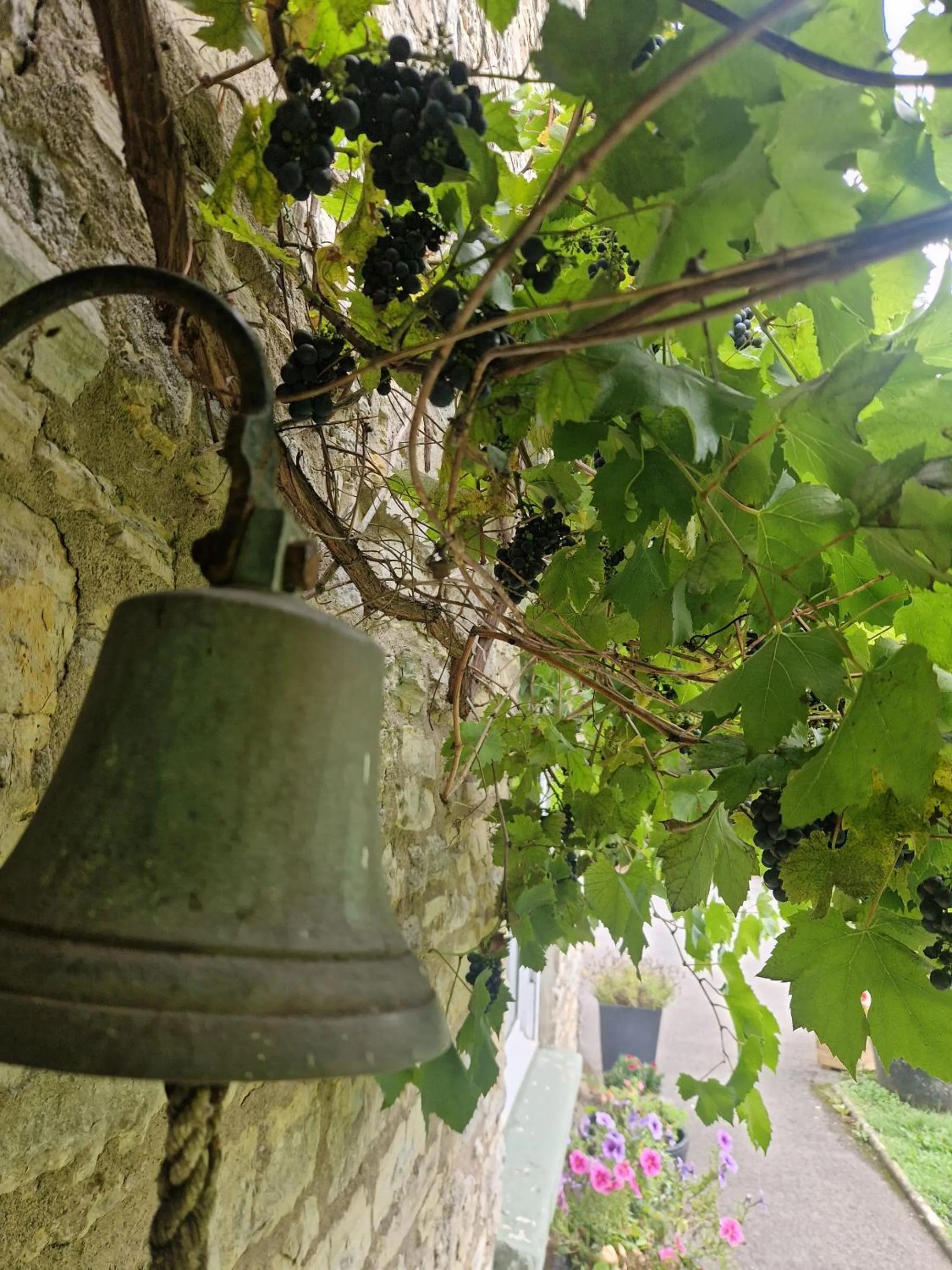 Garden in Worth House Bed and Breakfast